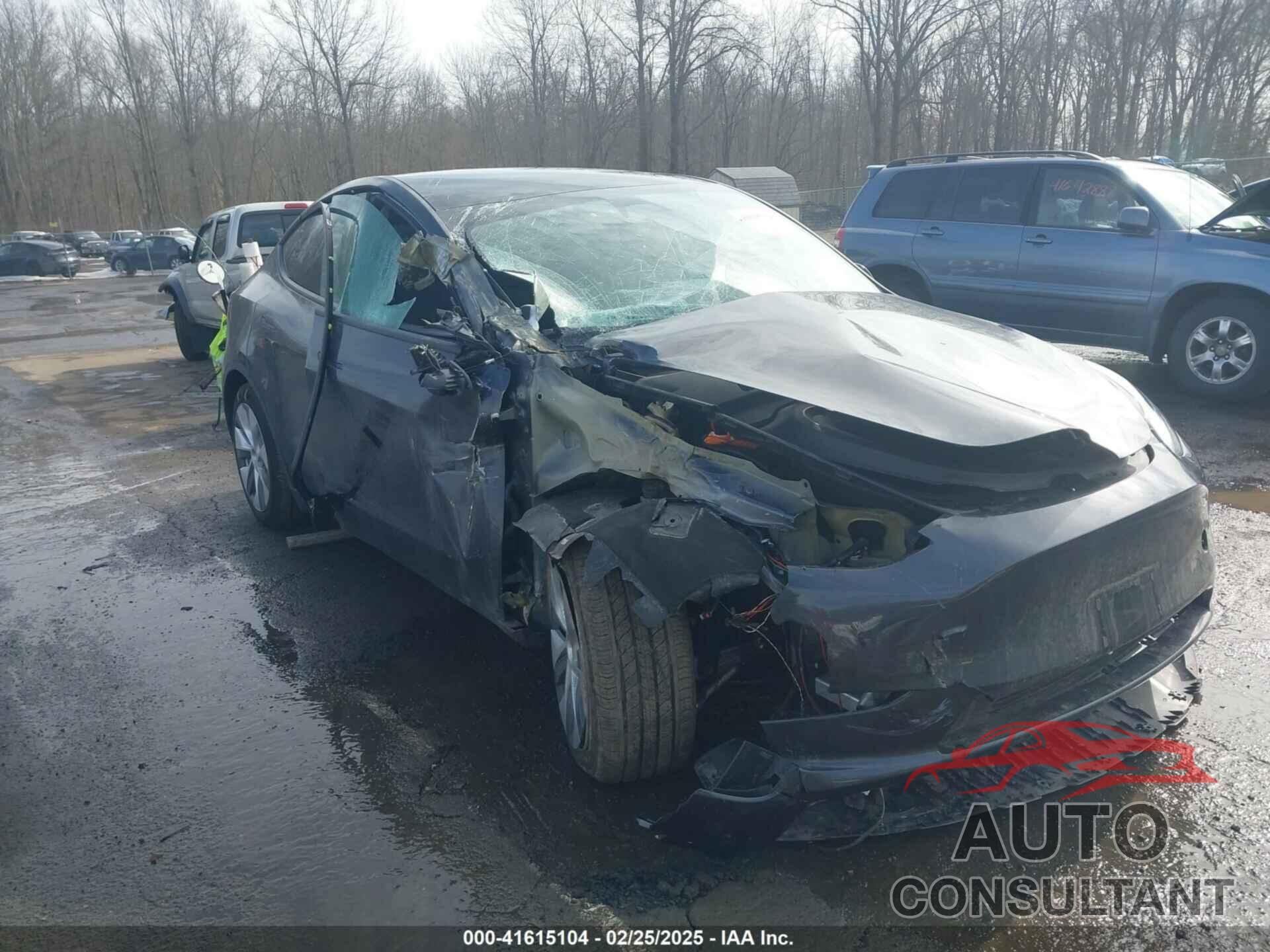 TESLA MODEL Y 2024 - 7SAYGDEE8RF084936