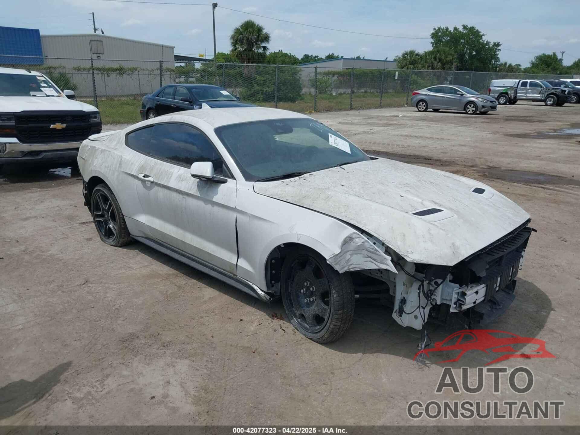 FORD MUSTANG 2021 - 1FA6P8TH5M5109655