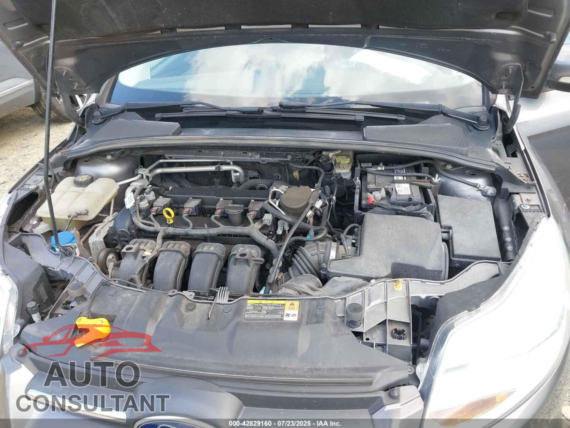 FORD FOCUS 2013 - 1FADP3F2XDL370079