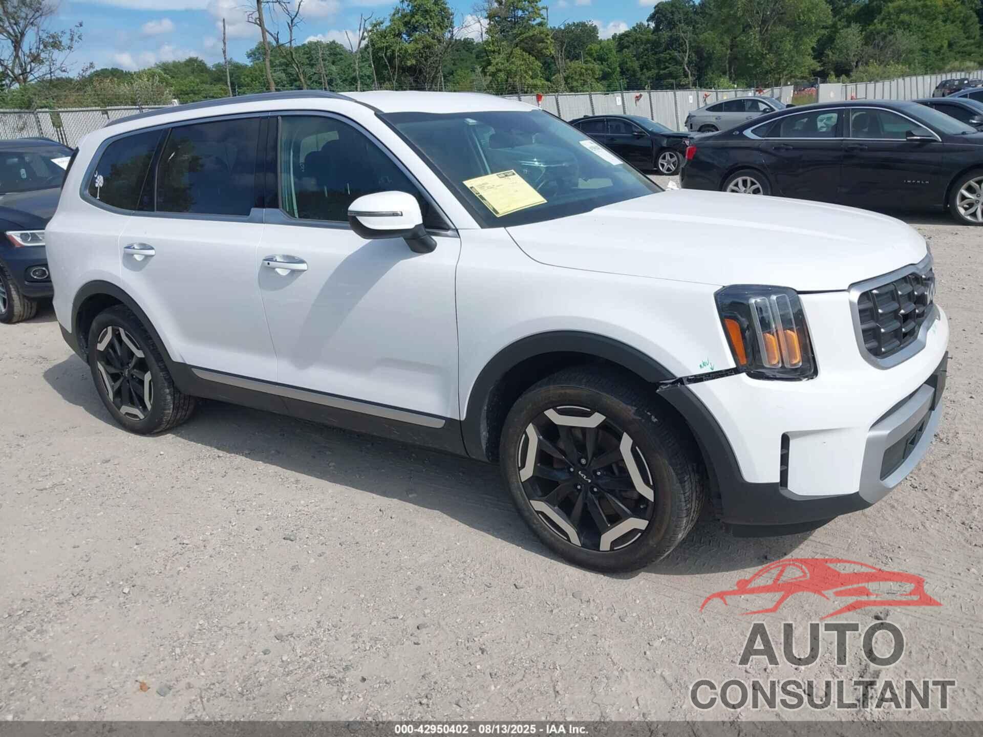KIA TELLURIDE 2024 - 5XYP64GC7RG437344