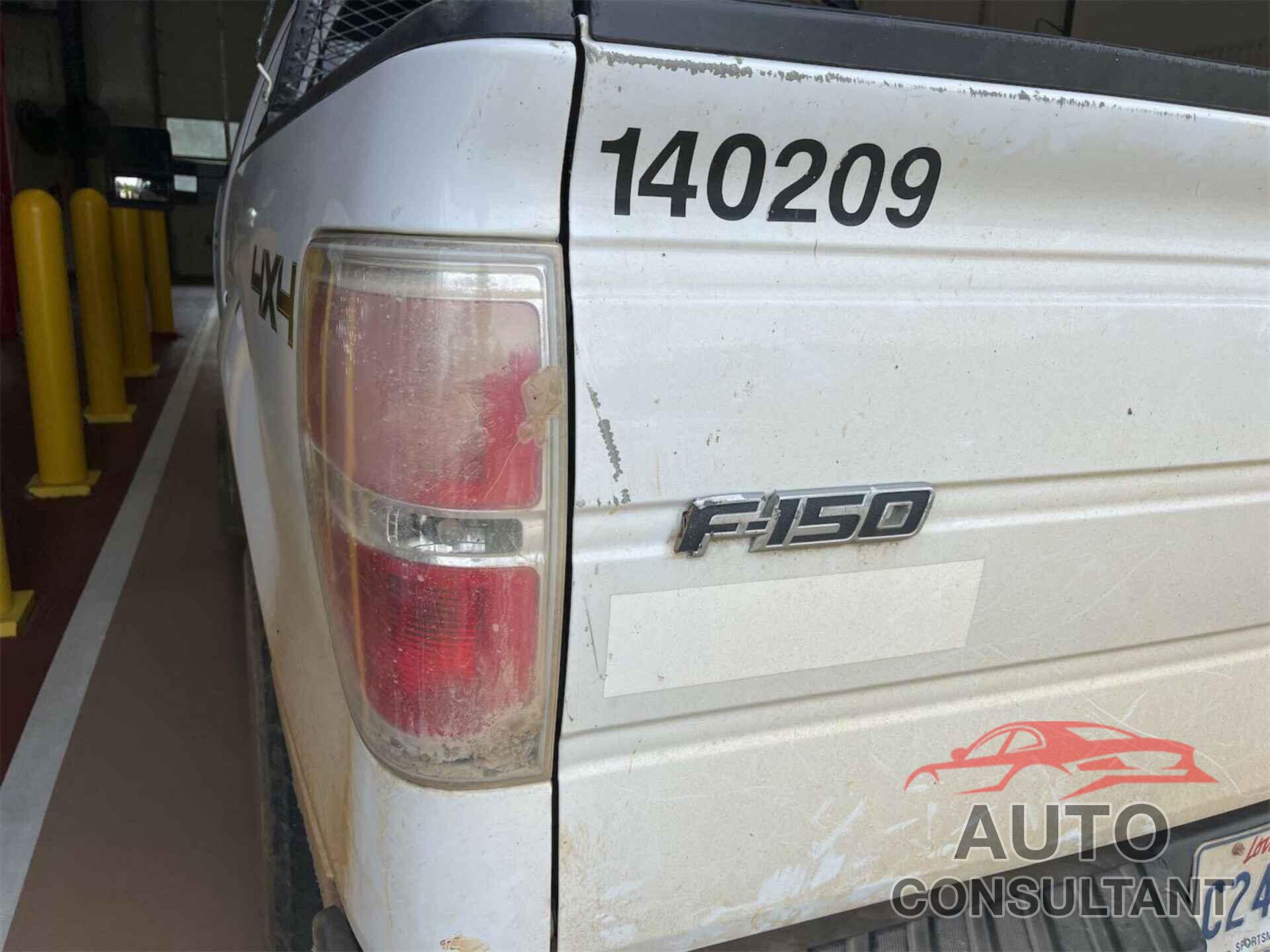 FORD F150 2014 - 1FTFX1EF4EKE59231