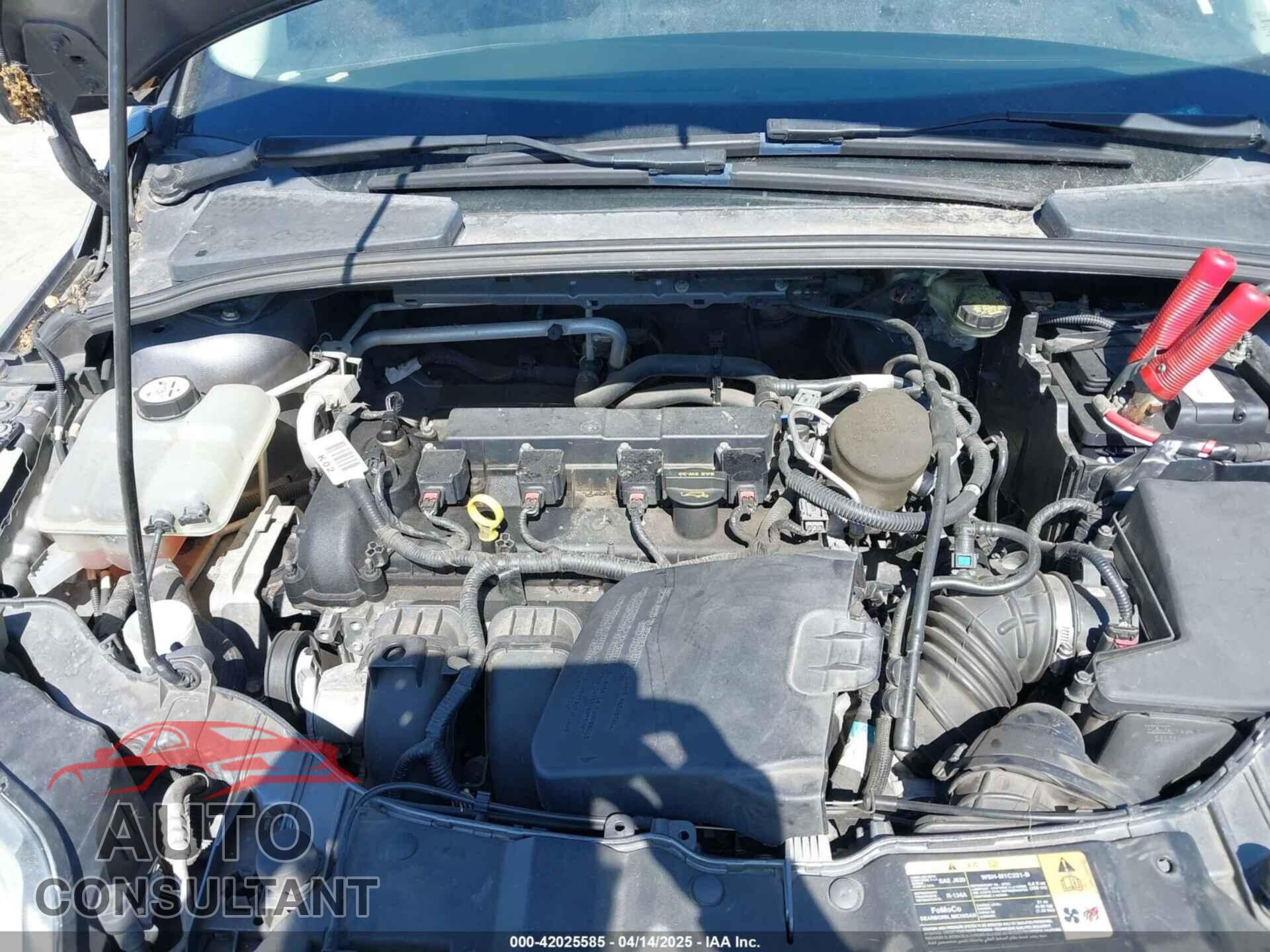 FORD FOCUS 2014 - 1FADP3K24EL199496
