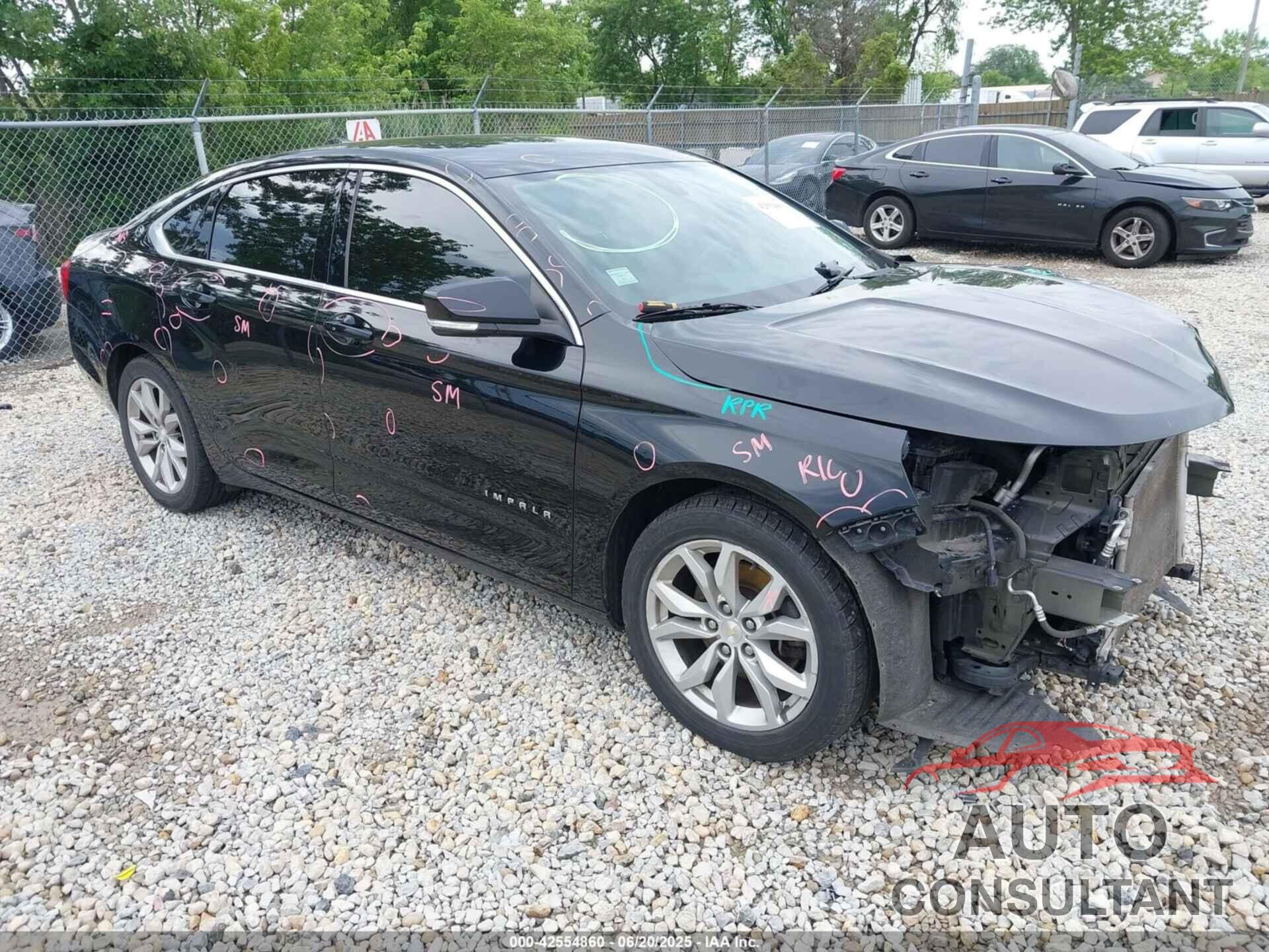 CHEVROLET IMPALA 2019 - 1G11Z5S33KU108213