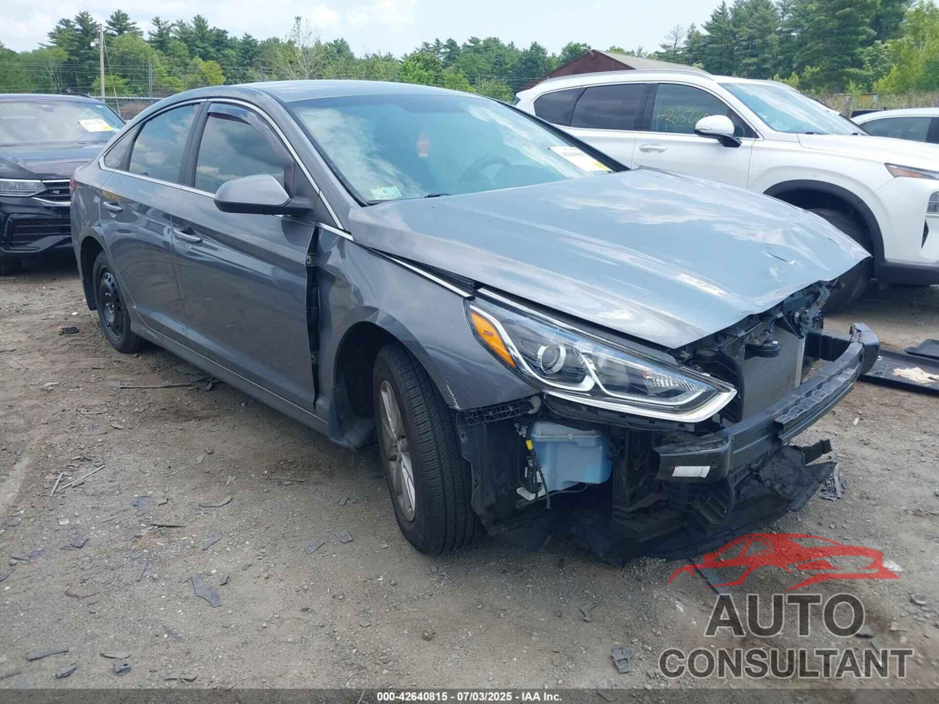 HYUNDAI SONATA 2019 - 5NPE24AF2KH816093