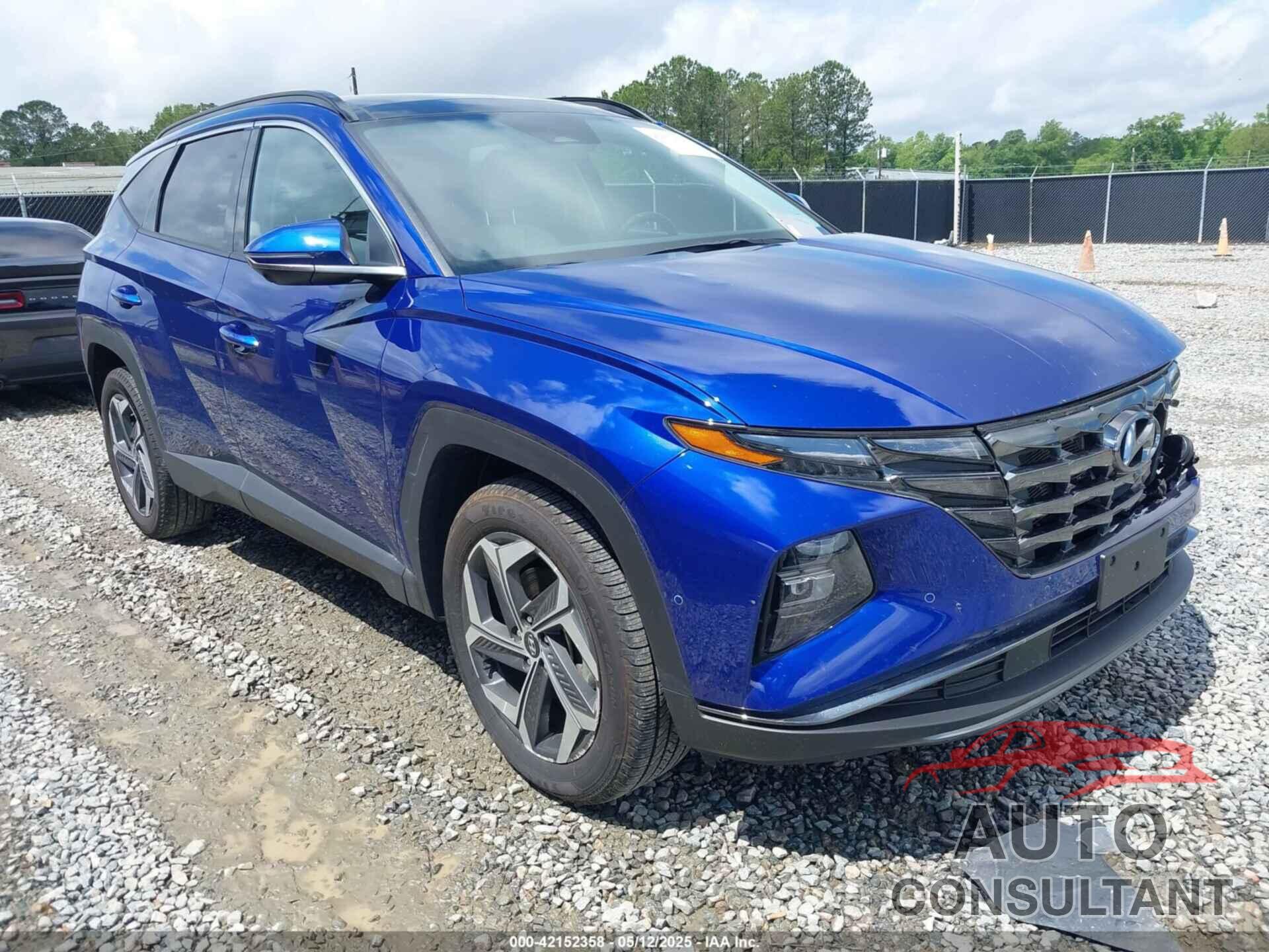 HYUNDAI TUCSON 2024 - 5NMJECDE5RH355143