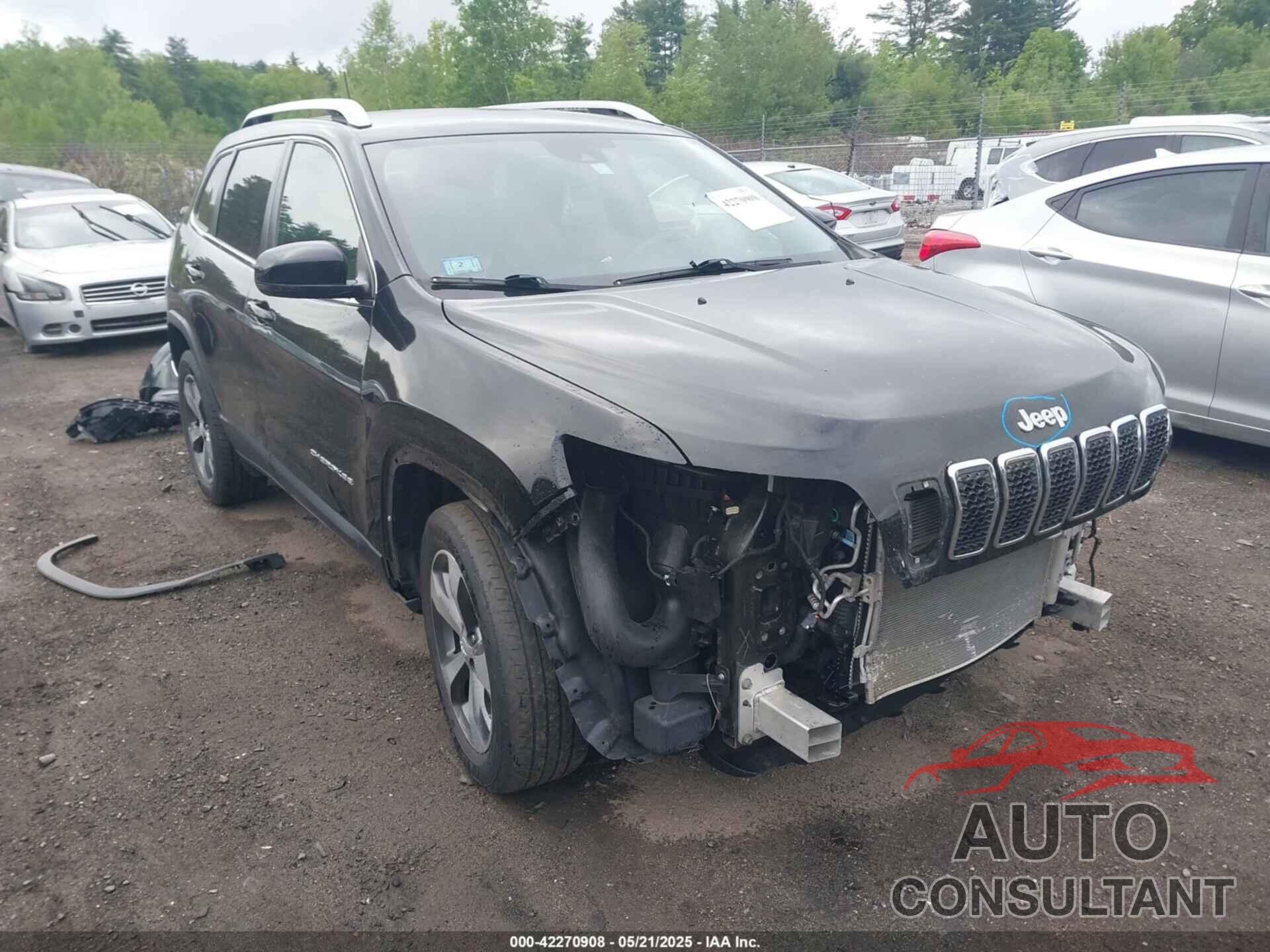 JEEP CHEROKEE 2019 - 1C4PJMDX9KD102323