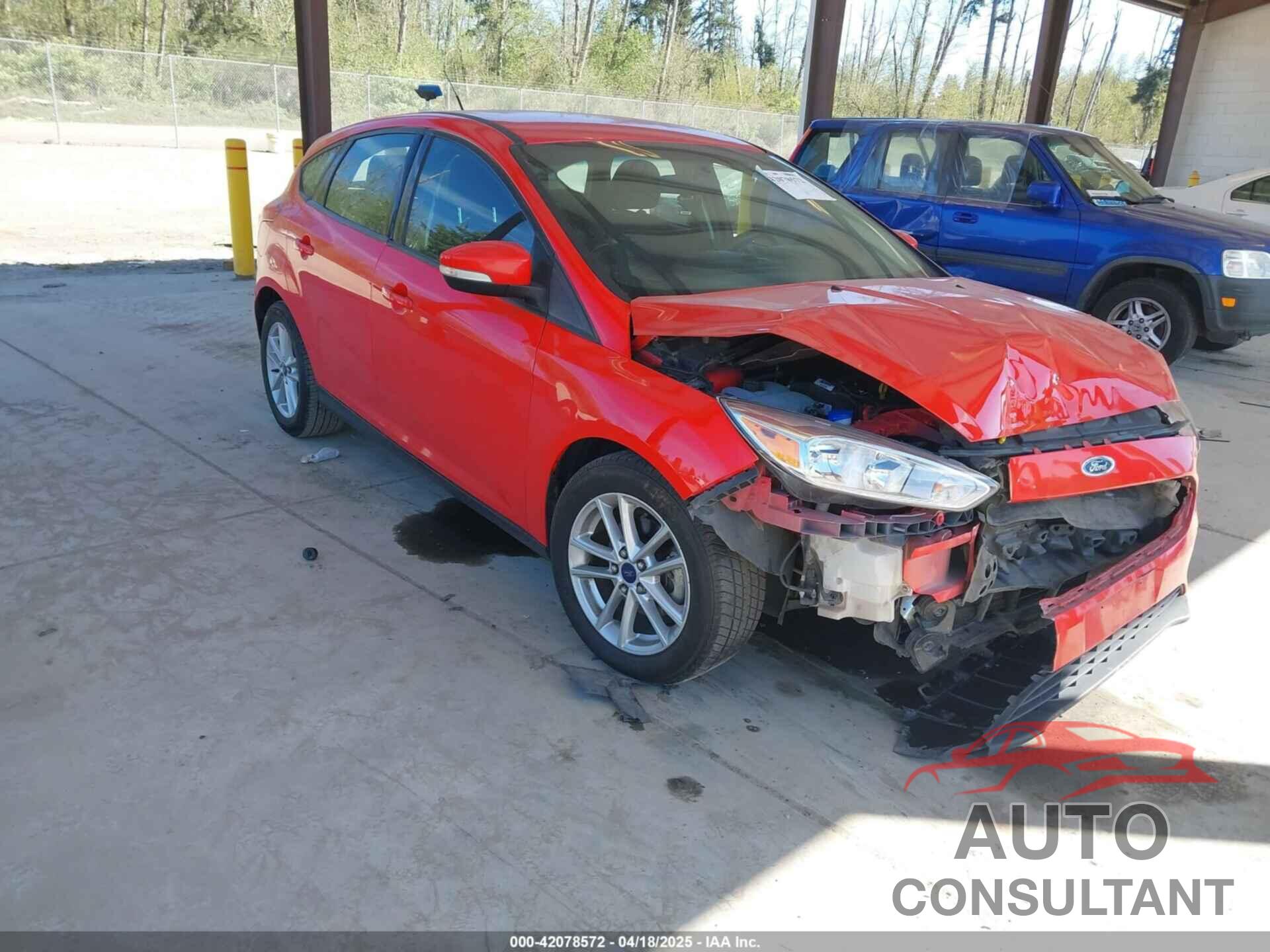 FORD FOCUS 2015 - 1FADP3K25FL294442
