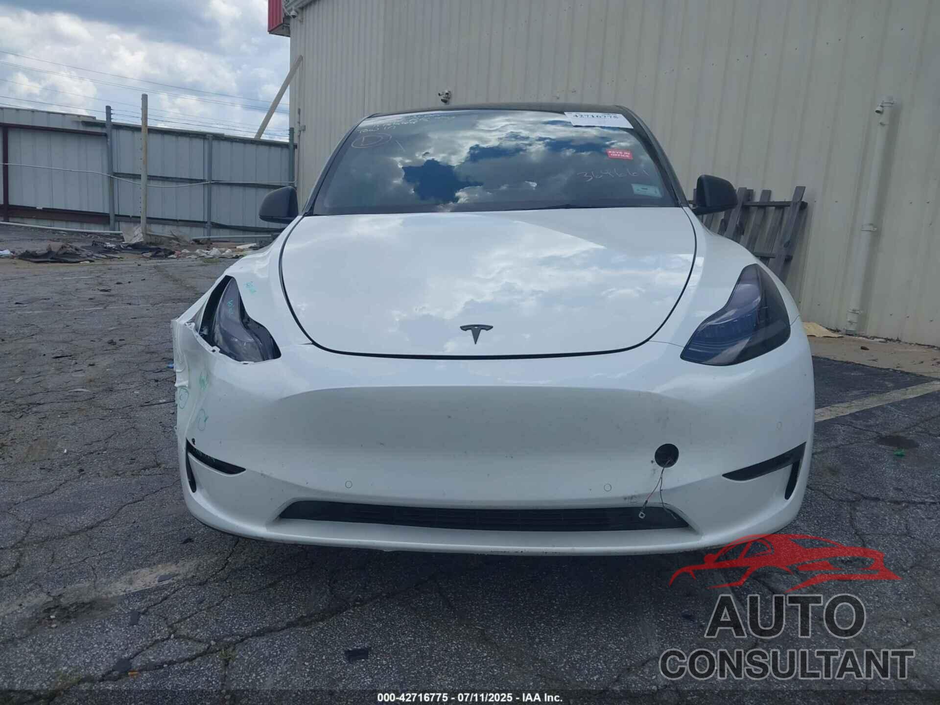 TESLA MODEL Y 2022 - 7SAYGDEE6NF364669