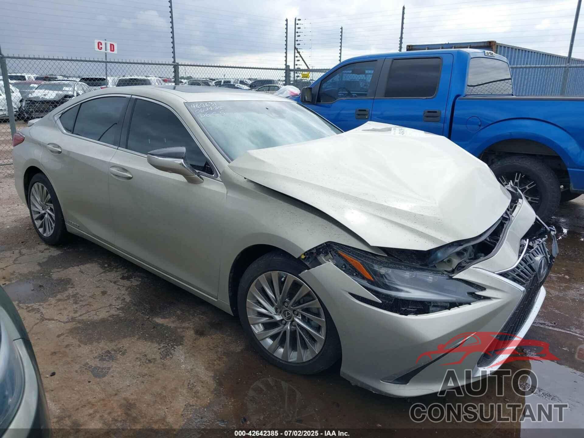 LEXUS ES 300H 2022 - 58AFA1C18NU016601