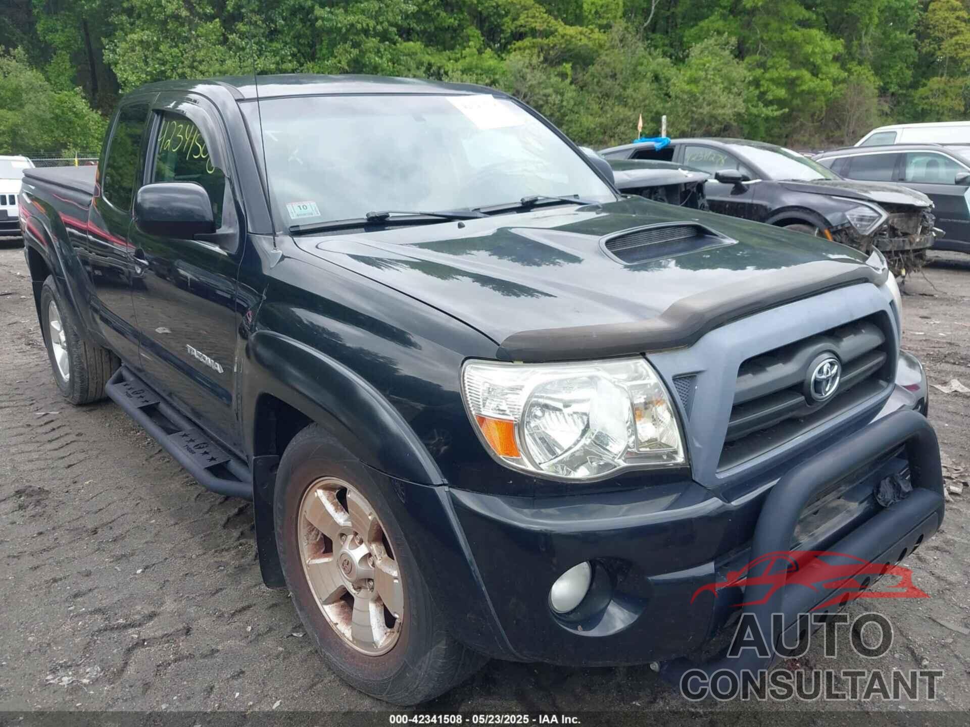 TOYOTA TACOMA 2009 - 5TEUU42N29Z595971