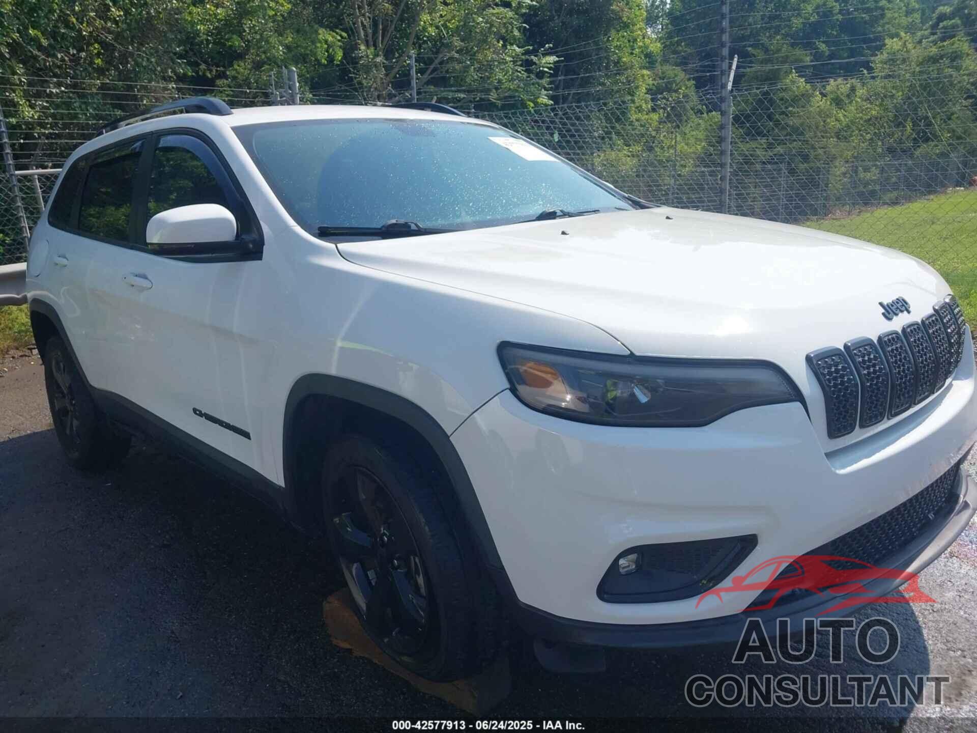 JEEP CHEROKEE 2019 - 1C4PJLLB0KD411789