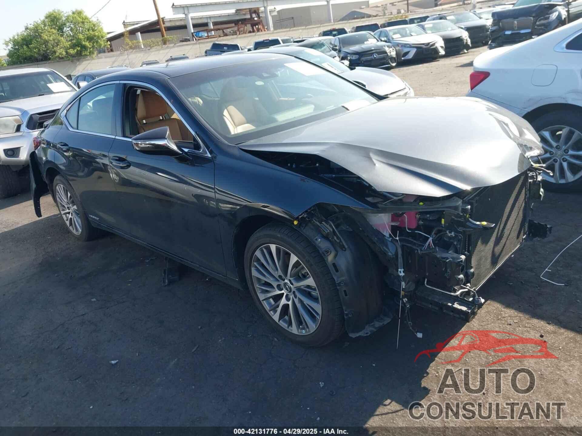 LEXUS ES 300H 2021 - 58ADA1C11MU009897