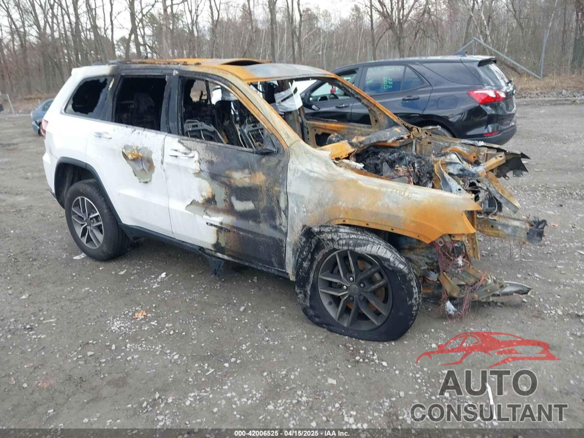 JEEP GRAND CHEROKEE 2020 - 1C4RJFBG8LC427494