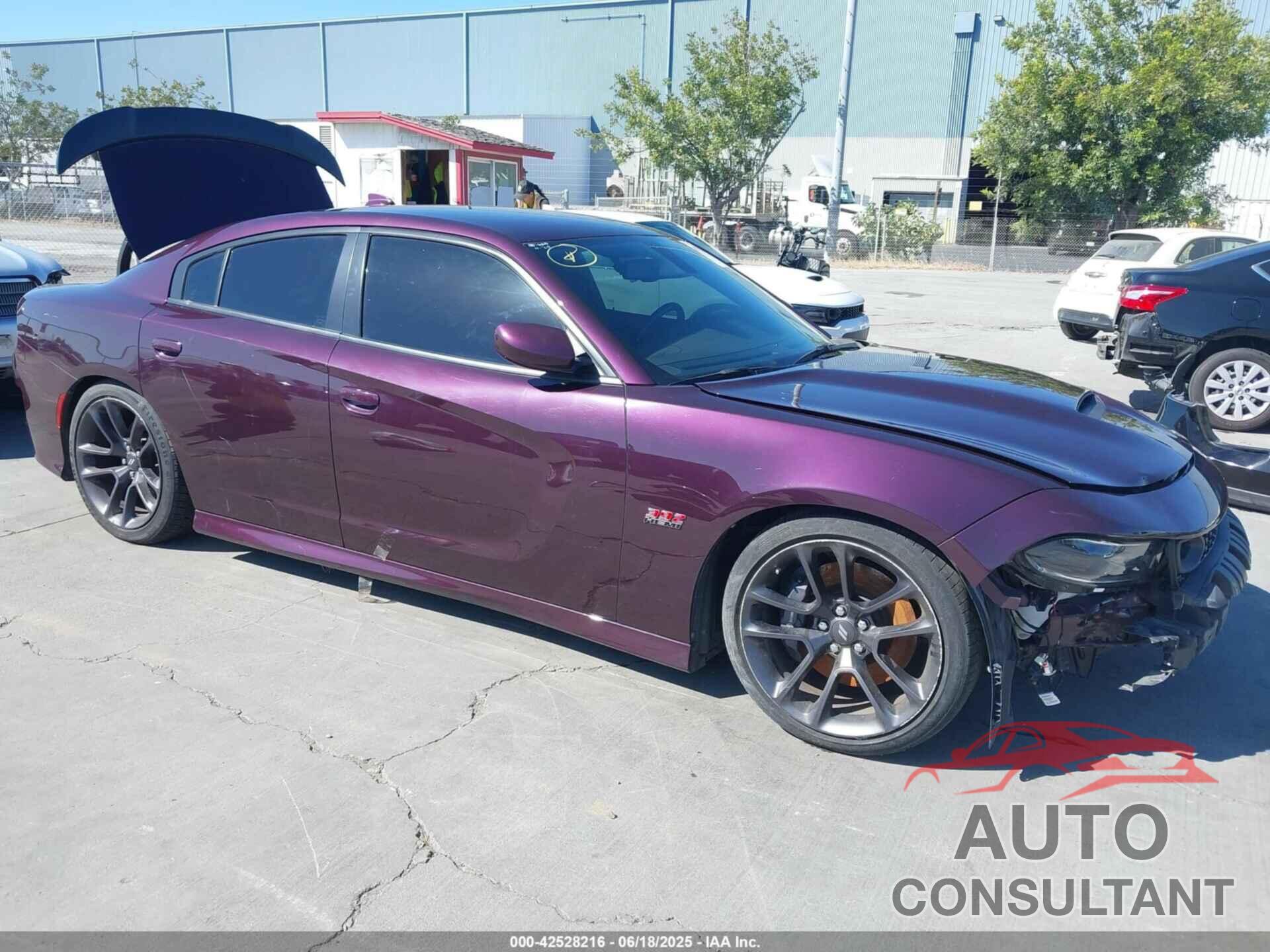 DODGE CHARGER 2021 - 2C3CDXGJ0MH557084