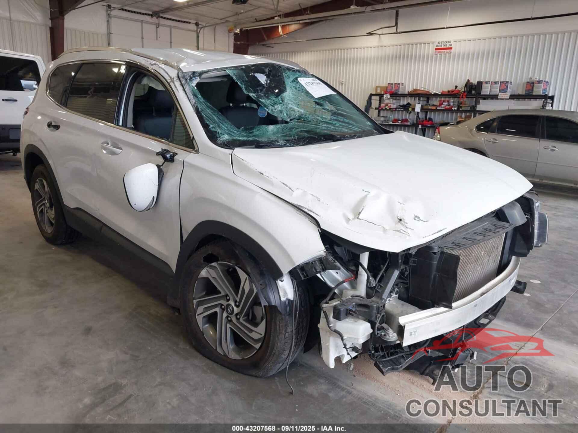 HYUNDAI SANTA FE 2023 - 5NMS2DAJ3PH589038