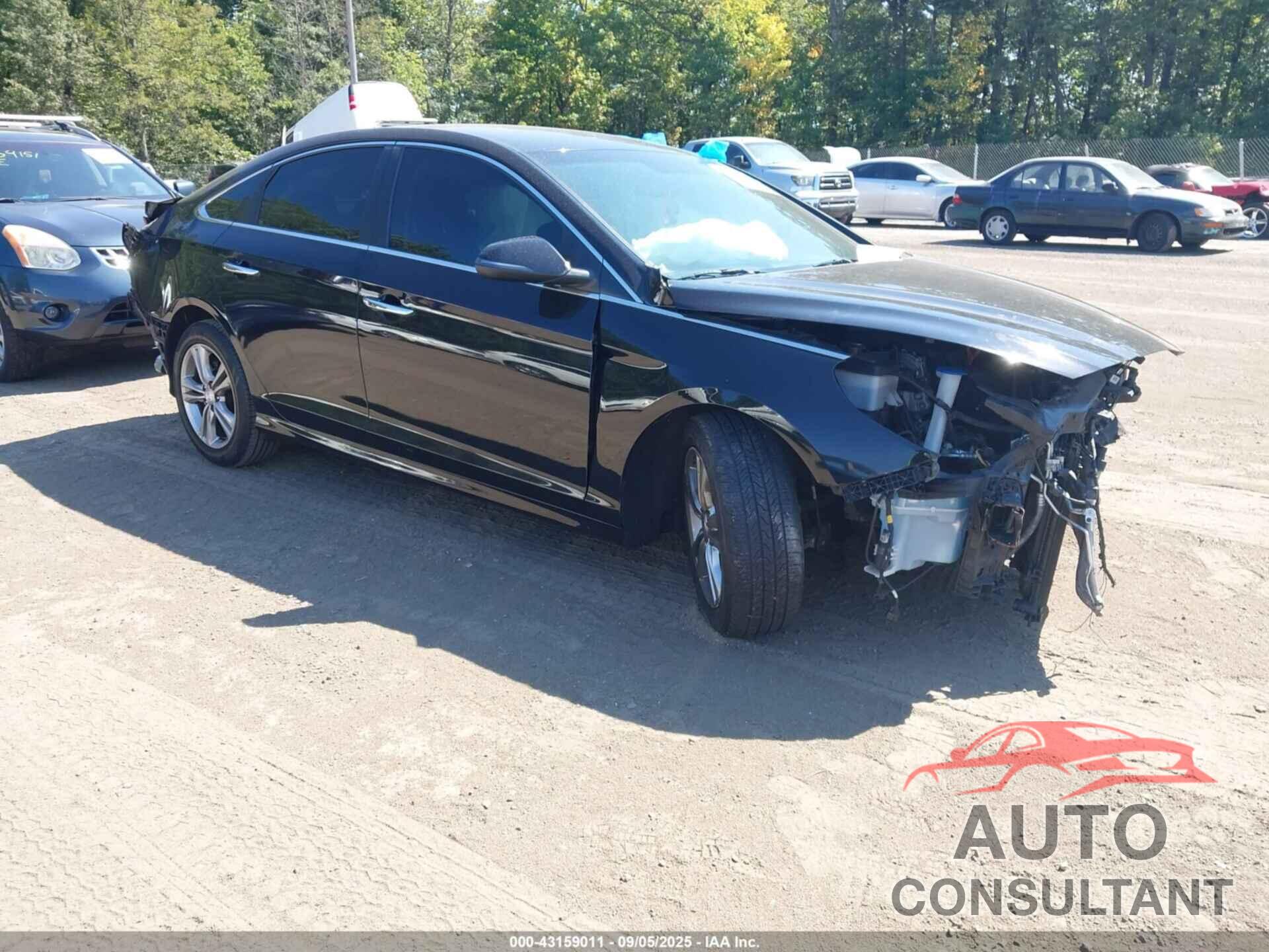 HYUNDAI SONATA 2019 - 5NPE34AF4KH790335