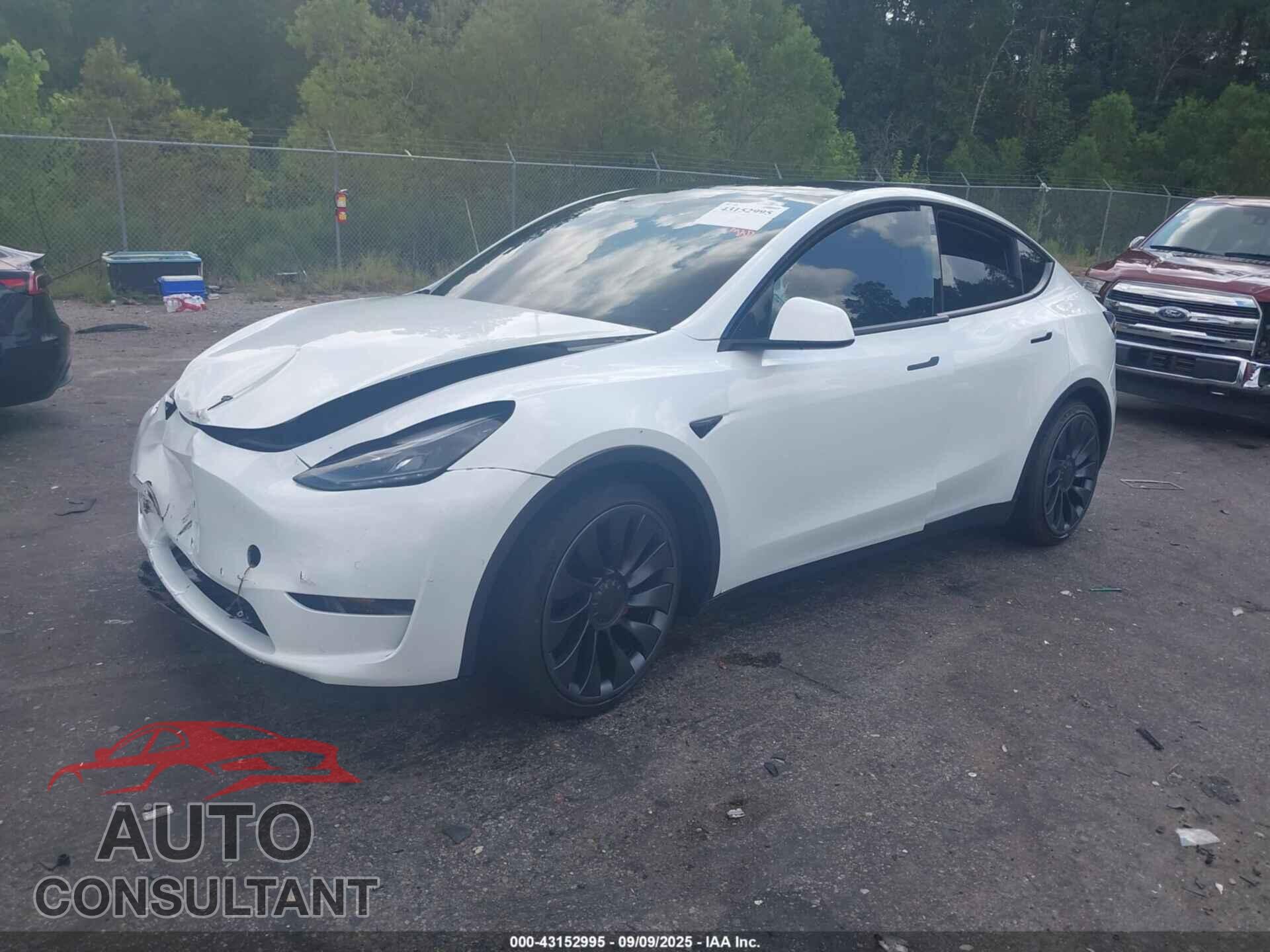 TESLA MODEL Y 2022 - 7SAYGDEF6NF467907