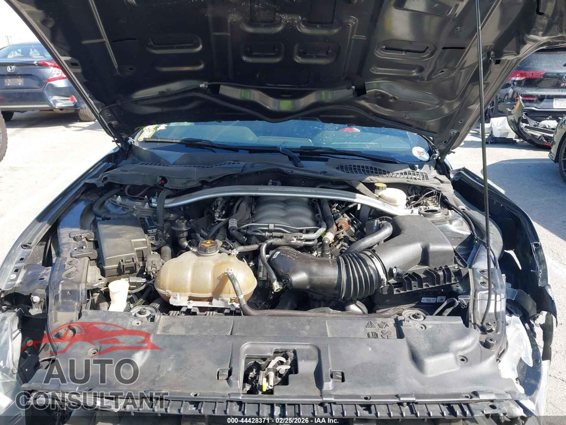 FORD MUSTANG 2019 - 1FA6P8CF5K5188269