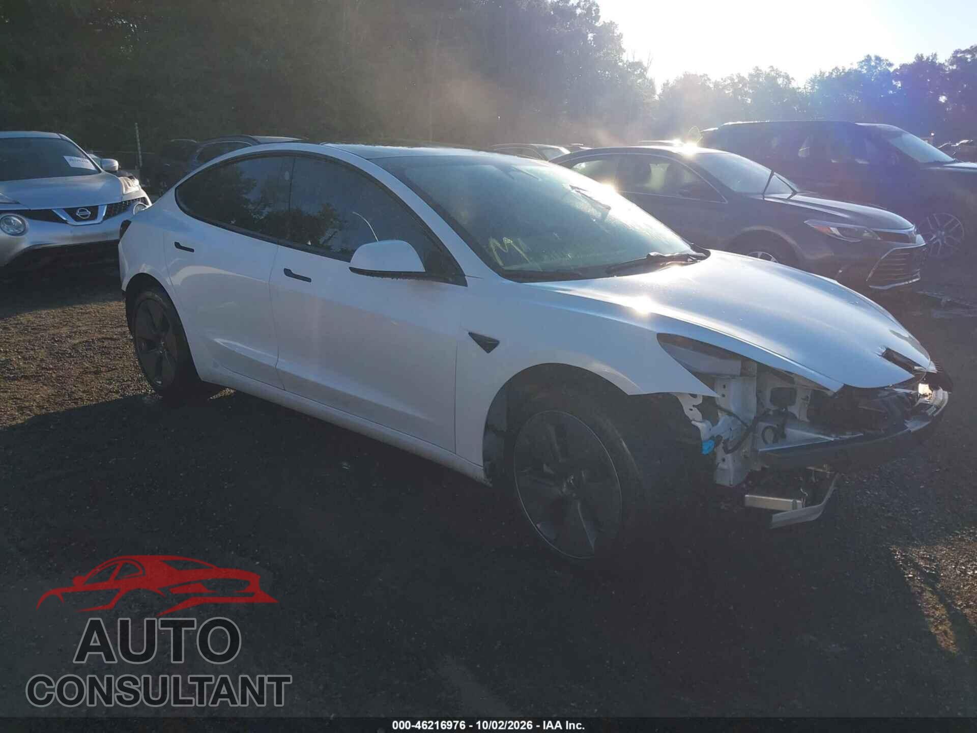 TESLA MODEL 3 2021 - 5YJ3E1EA6MF976863