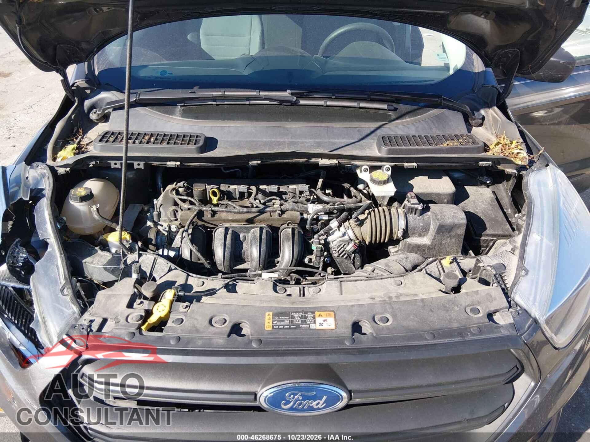 FORD ESCAPE 2017 - 1FMCU0F77HUC34366