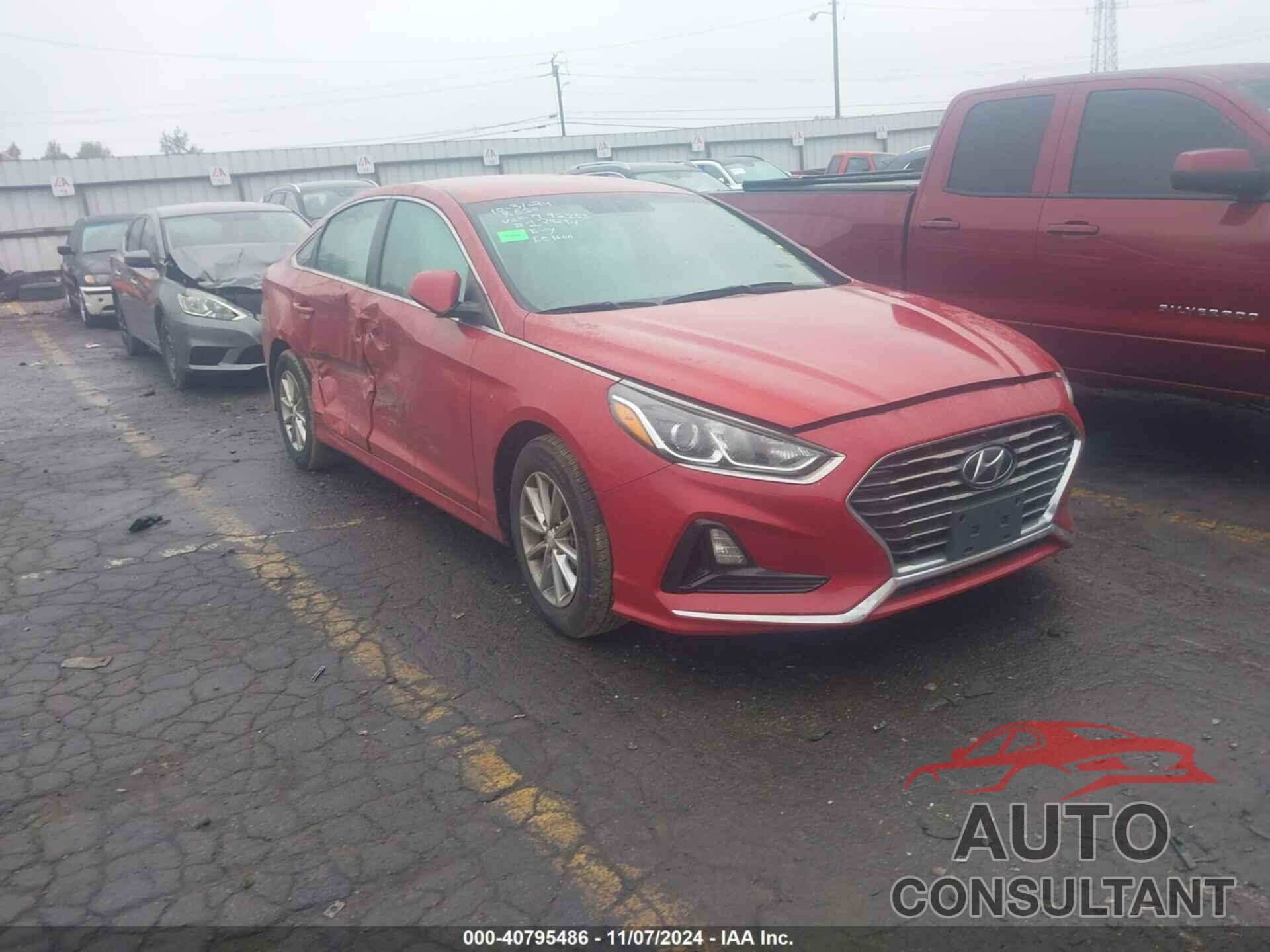 HYUNDAI SONATA 2019 - 5NPE24AF5KH791853