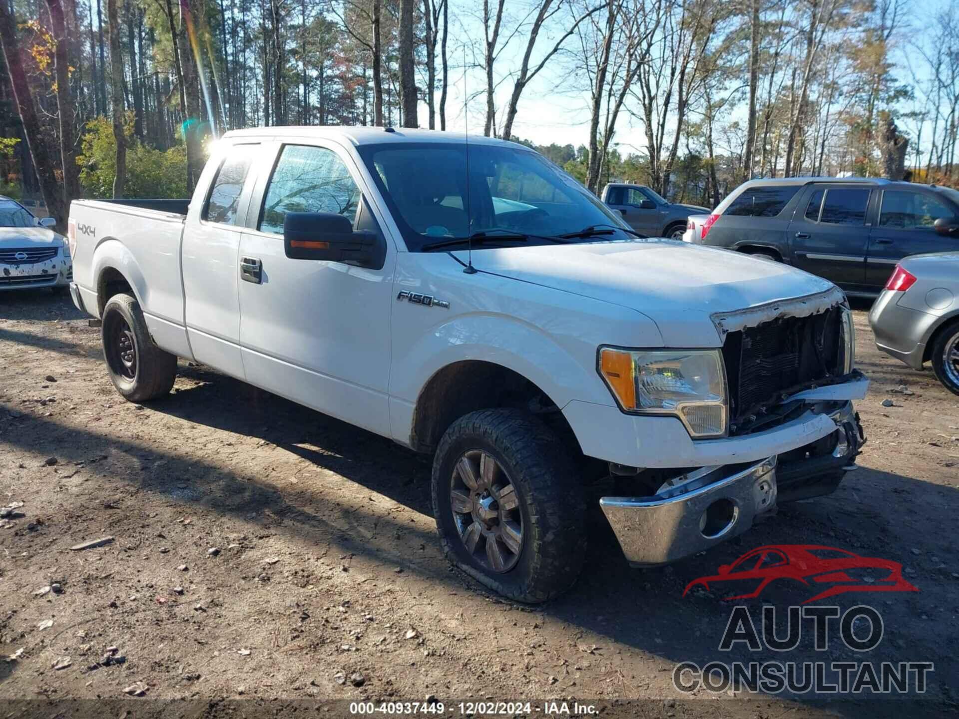 FORD F-150 2010 - 1FTFX1EV9AFD60155