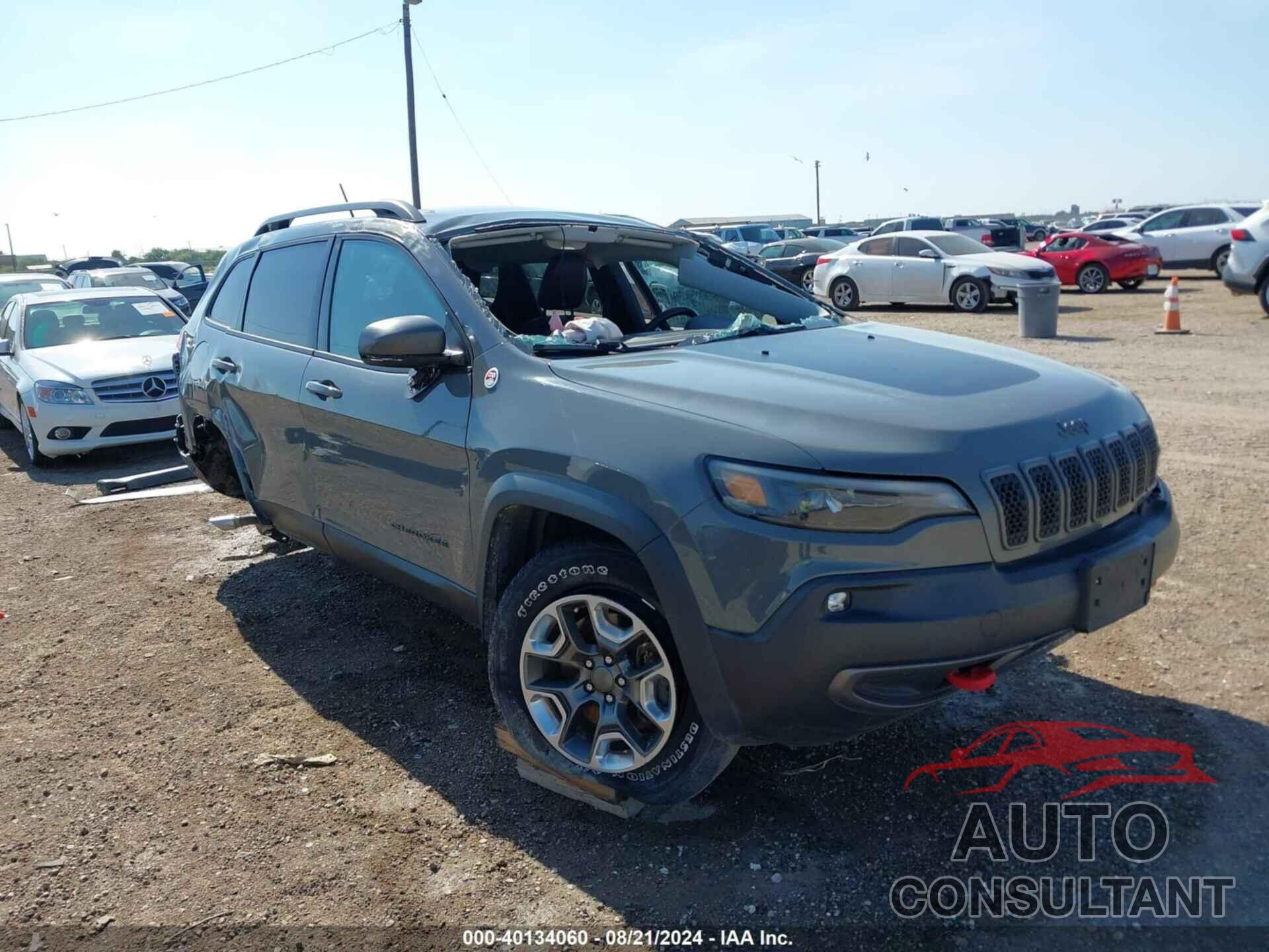 JEEP CHEROKEE 2019 - 1C4PJMBX1KD352027