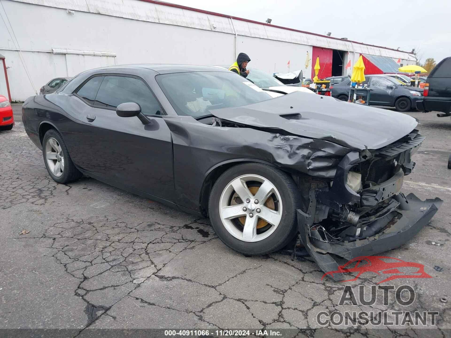 DODGE CHALLENGER 2013 - 2C3CDYAG0DH549506