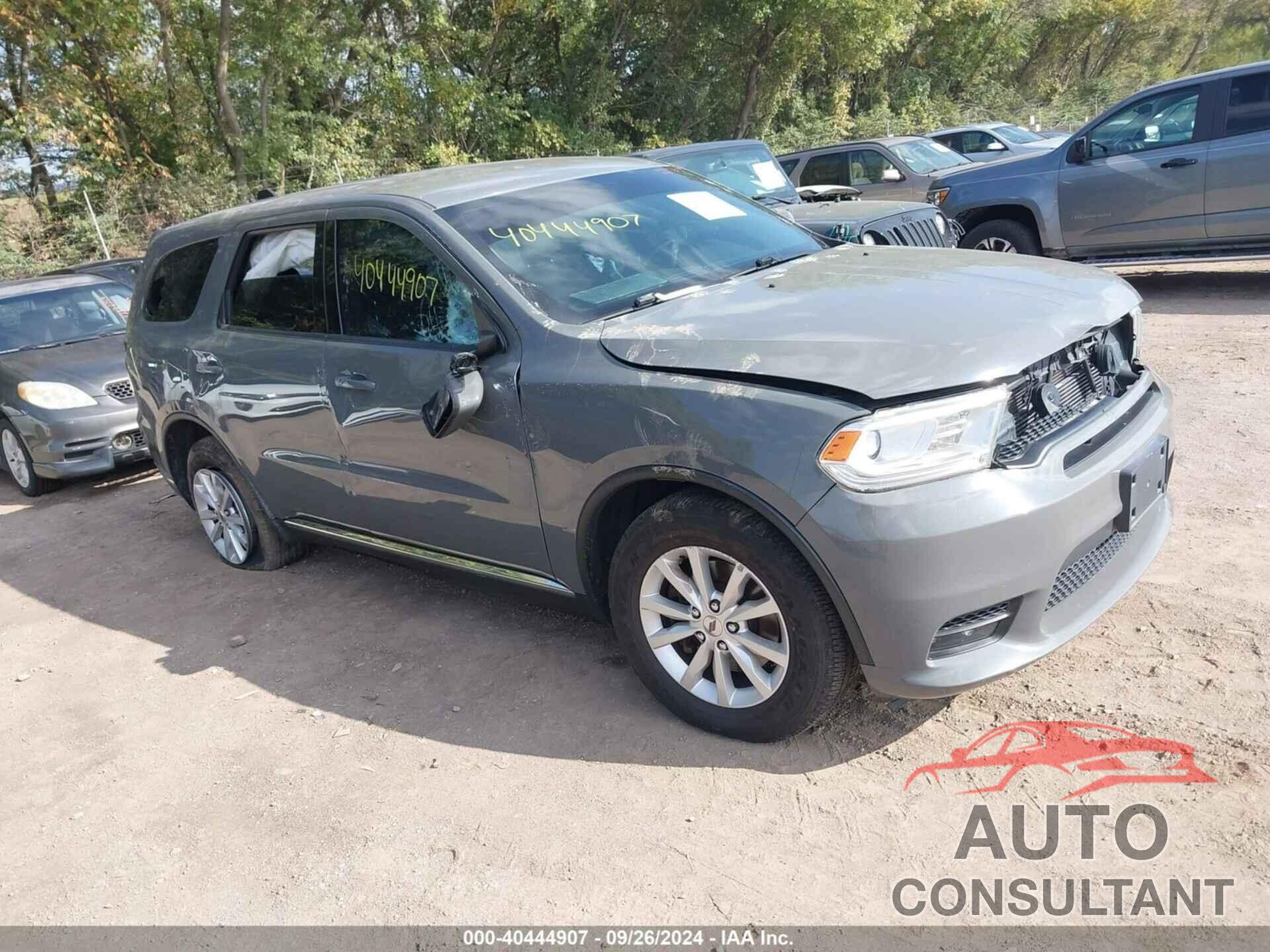 DODGE DURANGO 2019 - 1C4SDJFT5KC647869