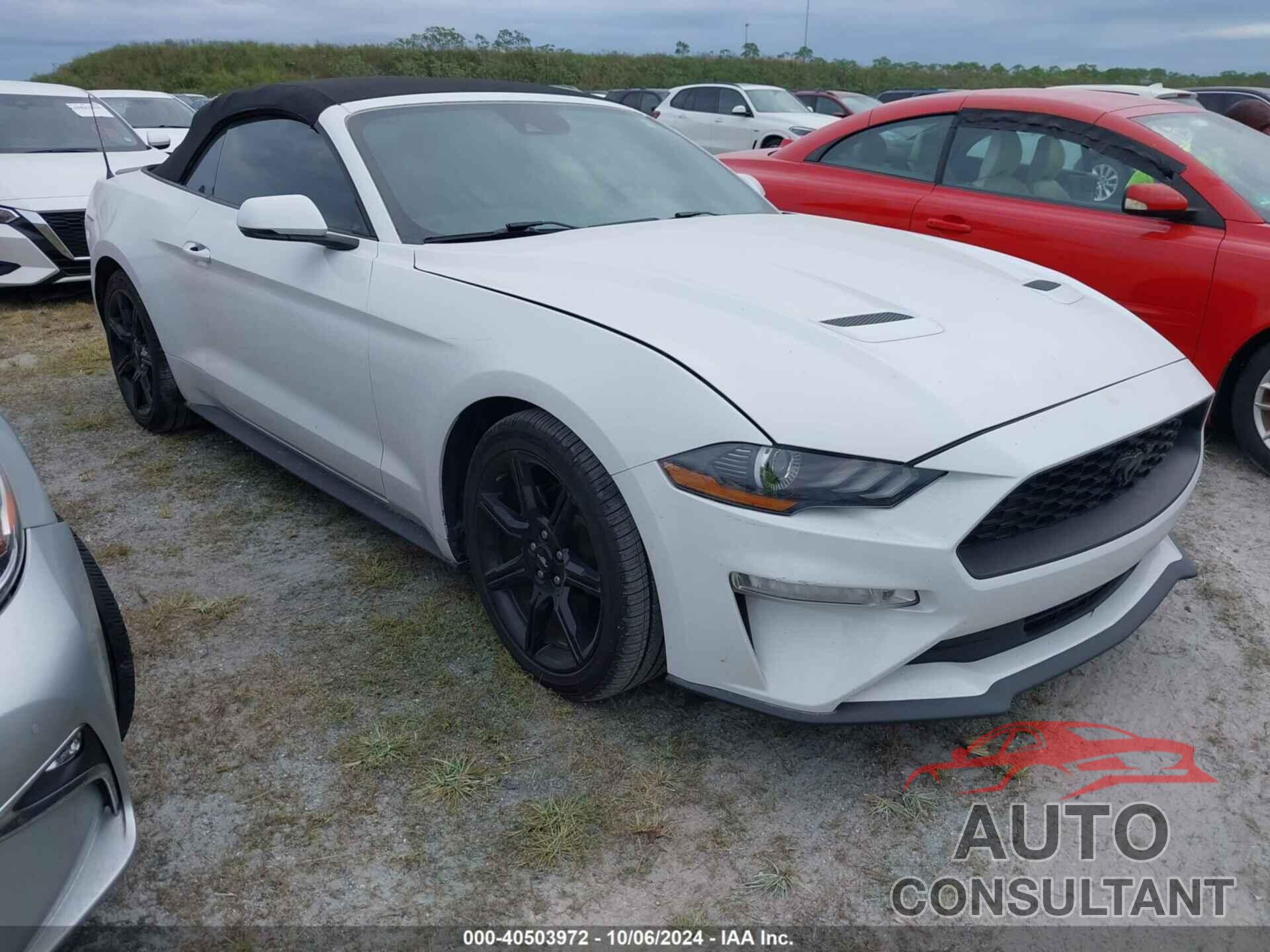 FORD MUSTANG 2019 - 1FATP8UH9K5133083