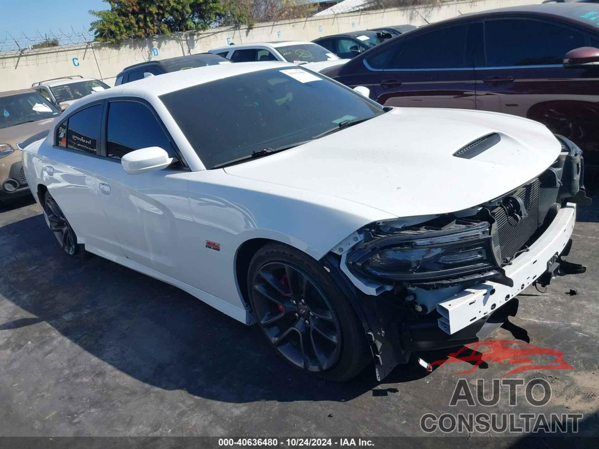 DODGE CHARGER 2020 - 2C3CDXGJ8LH232326