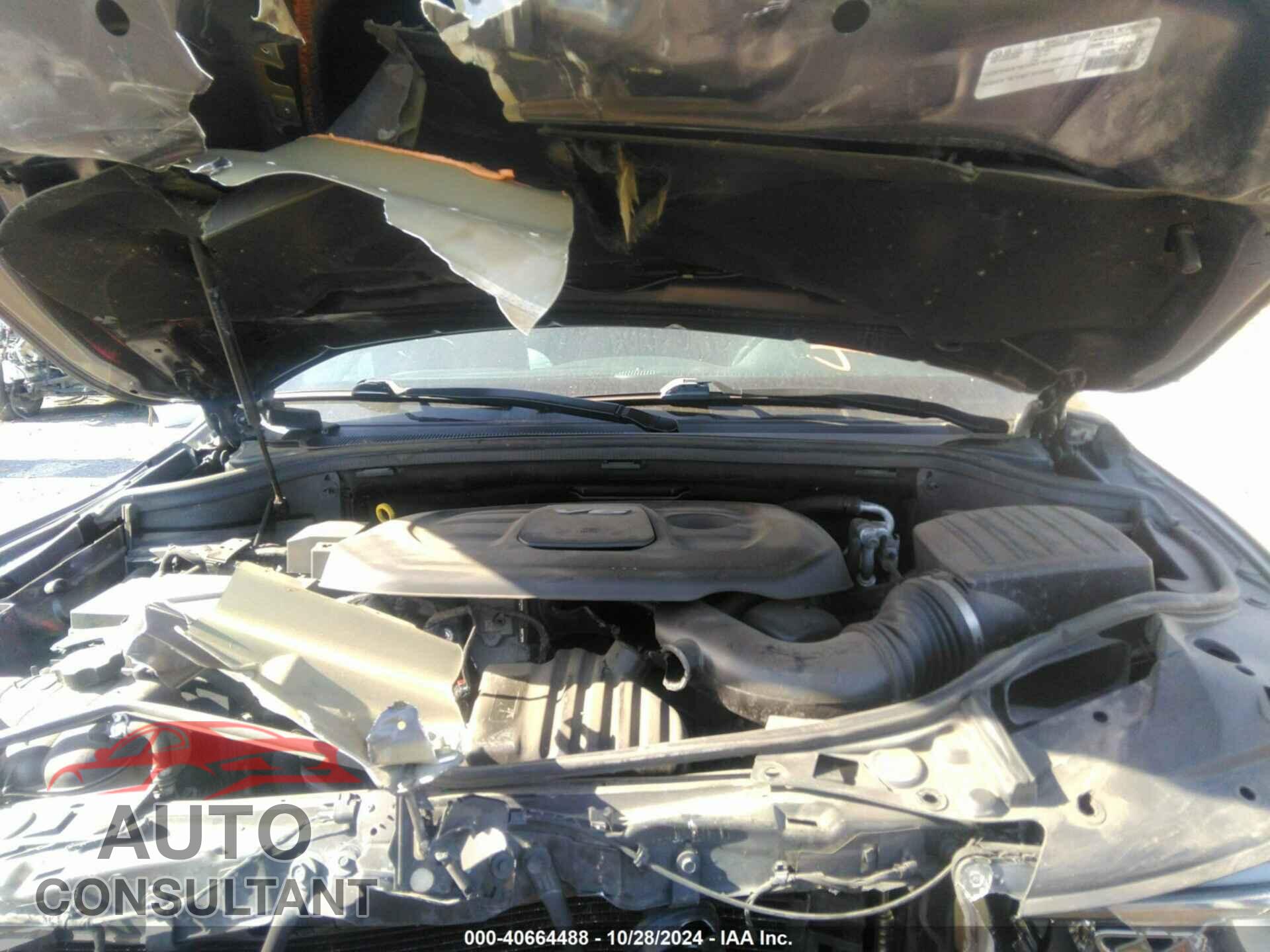 DODGE DURANGO 2019 - 1C4RDJDG3KC634218