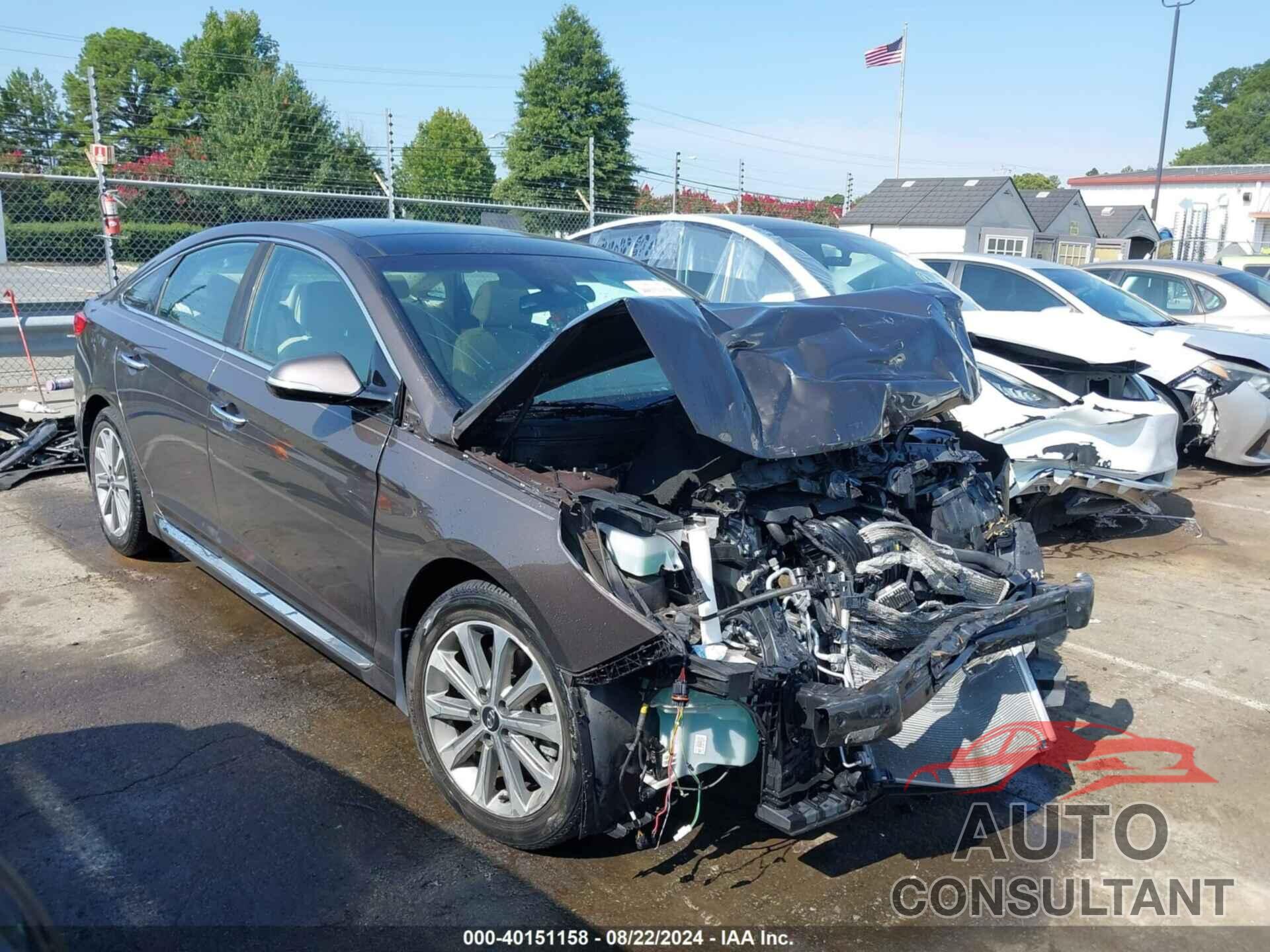 HYUNDAI SONATA 2016 - 5NPE34AF5GH322444