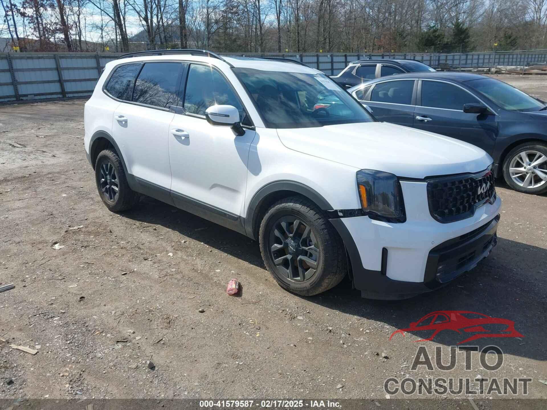 KIA TELLURIDE 2024 - 5XYP5DGCXRG417544