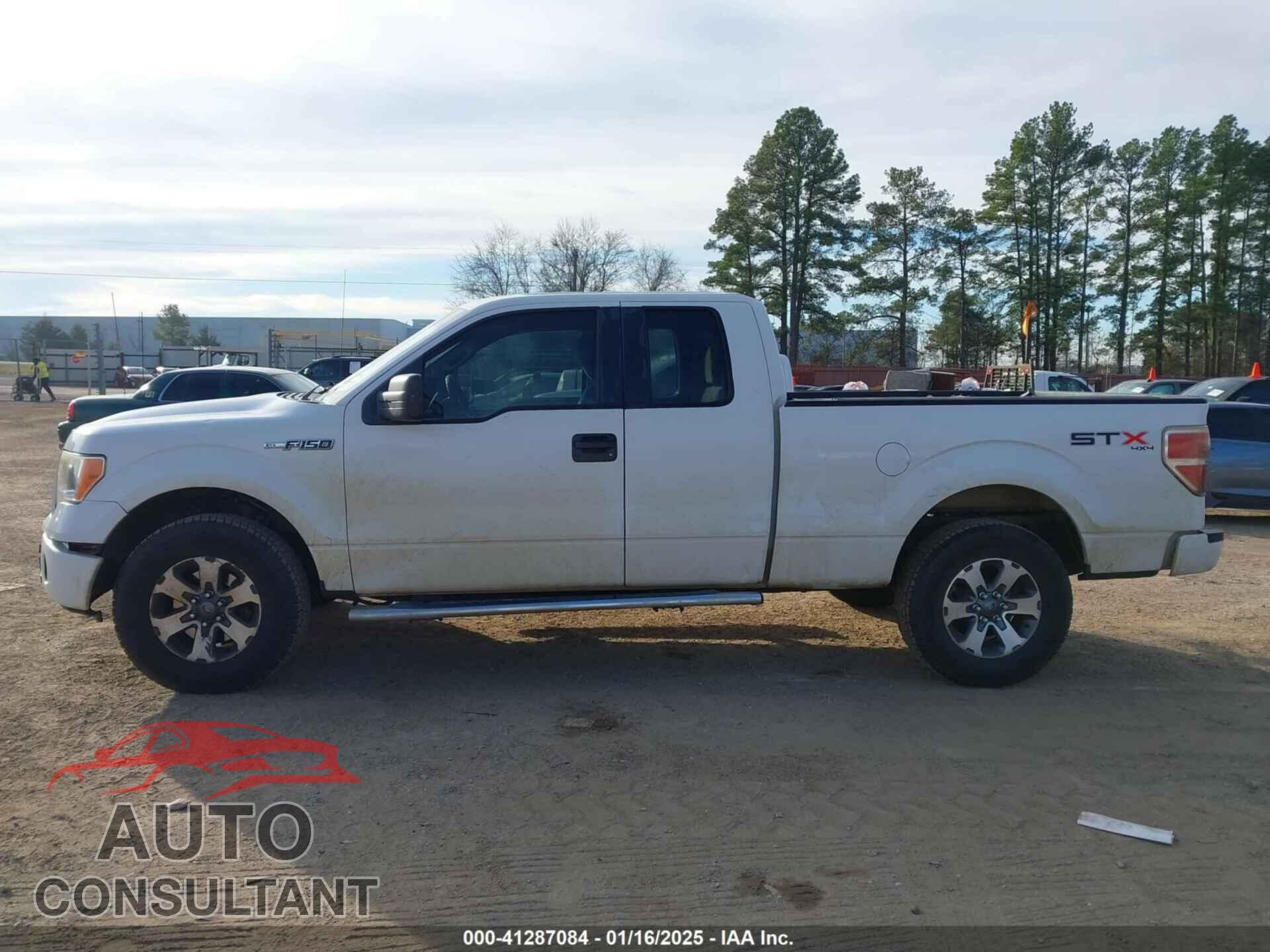 FORD F-150 2013 - 1FTFX1EF8DFD82113