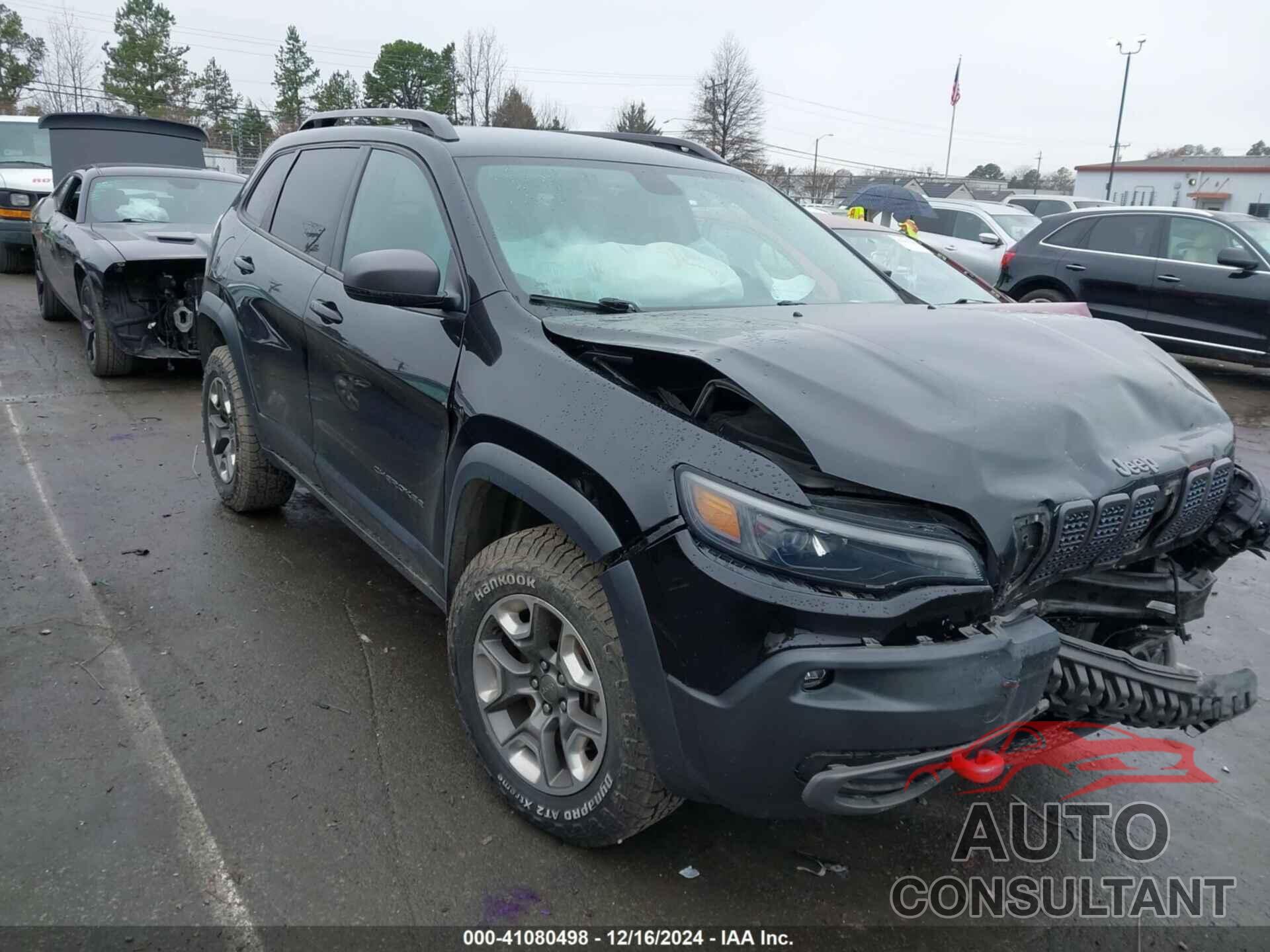 JEEP CHEROKEE 2019 - 1C4PJMBX6KD459476