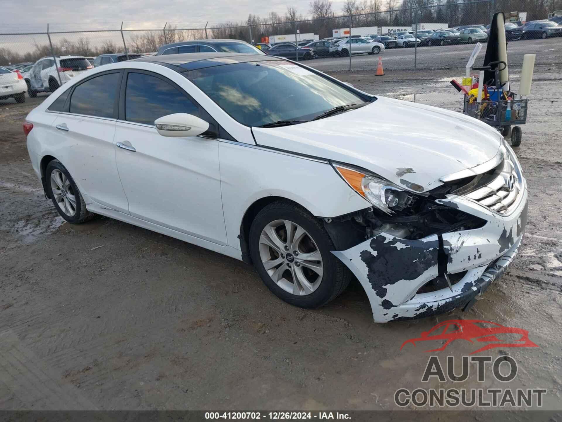 HYUNDAI SONATA 2013 - 5NPEC4AC3DH616989