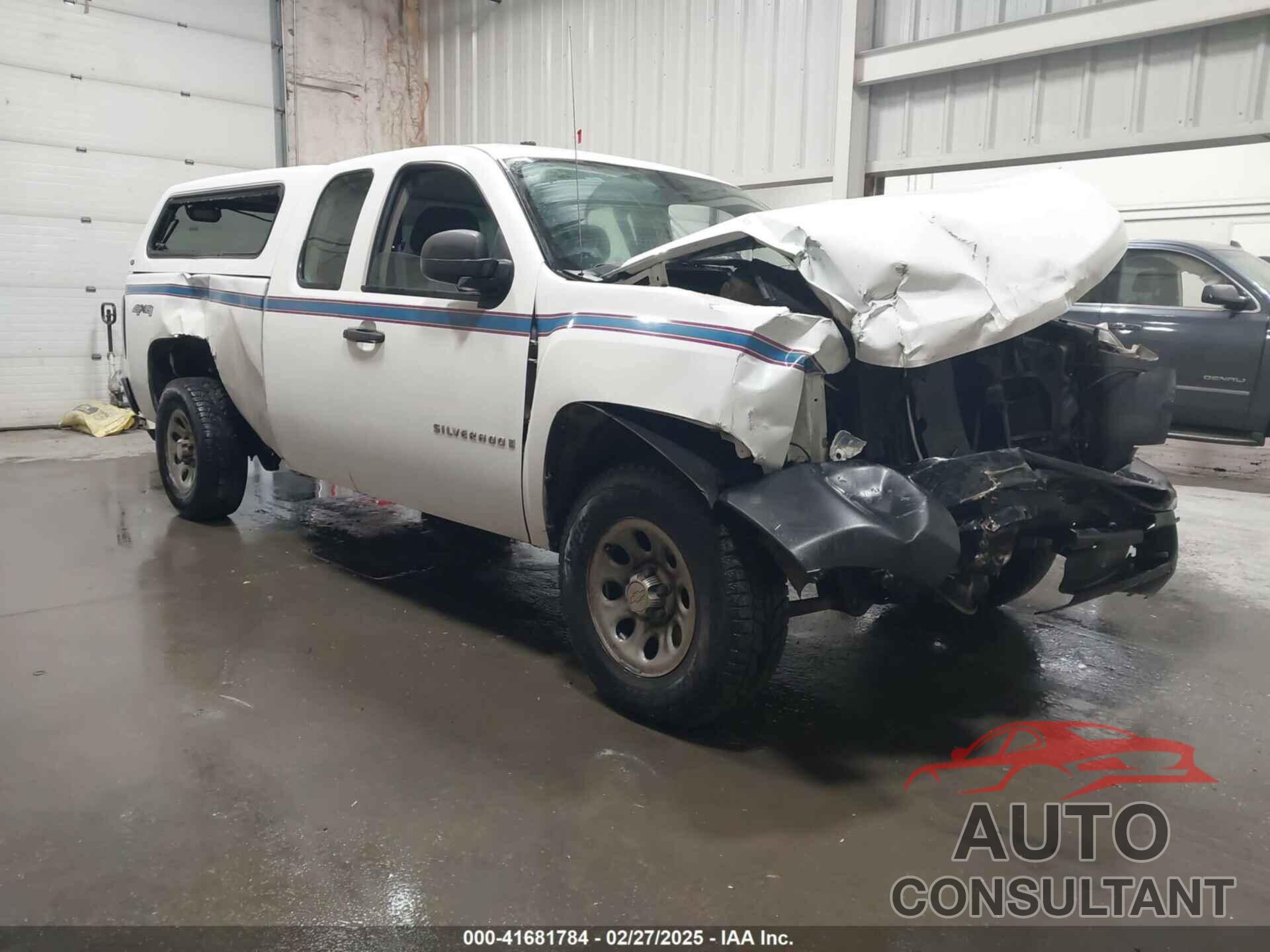 CHEVROLET SILVERADO 1500 2009 - 1GCEK19J89Z198644