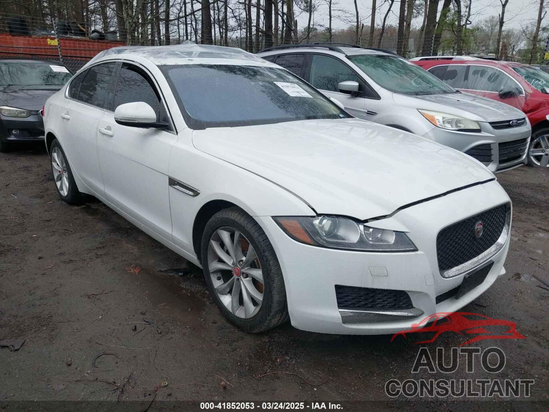 JAGUAR XF 2018 - SAJBJ4FX5JCY56459