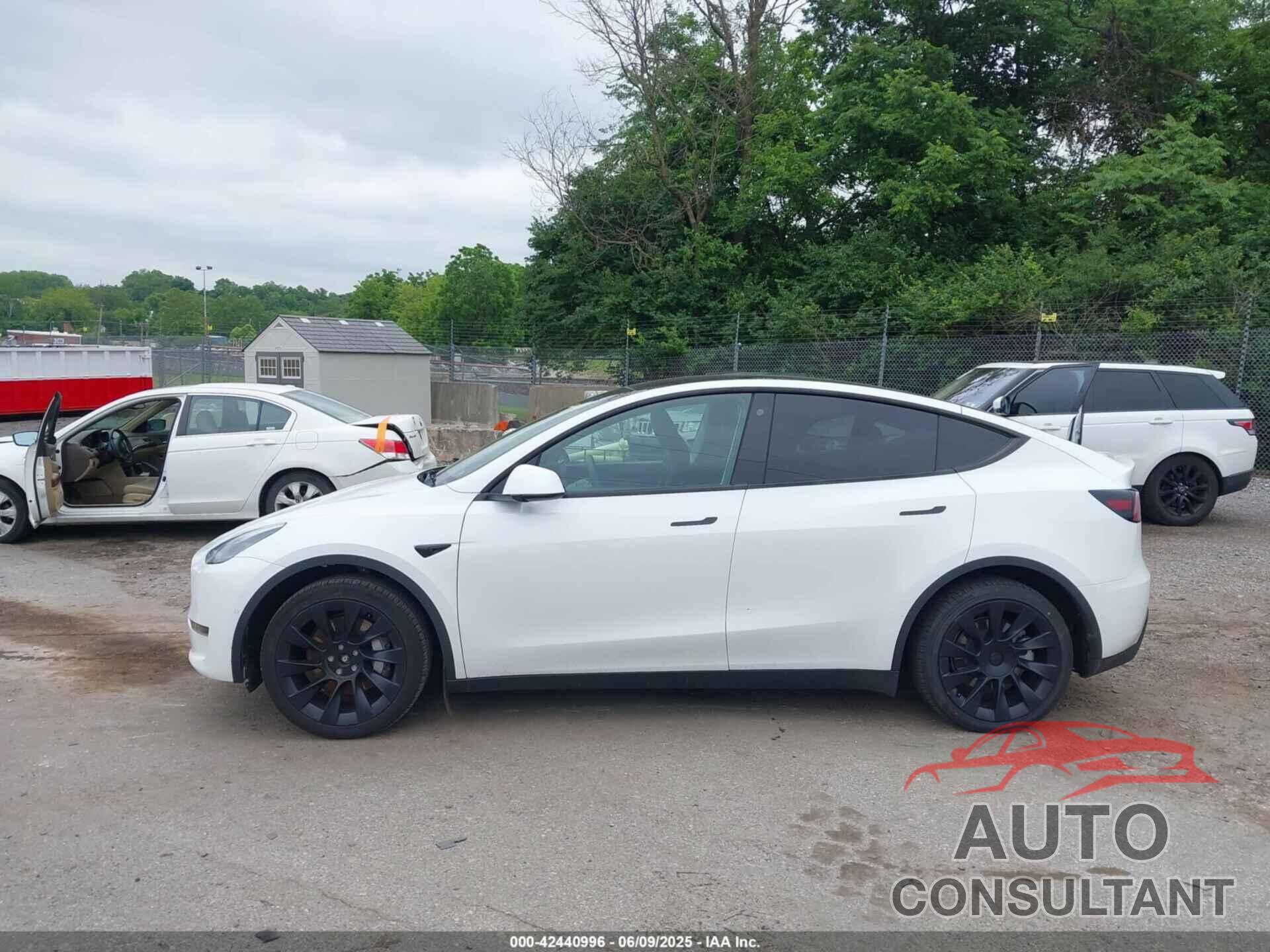 TESLA MODEL Y 2021 - 5YJYGDEE4MF262685