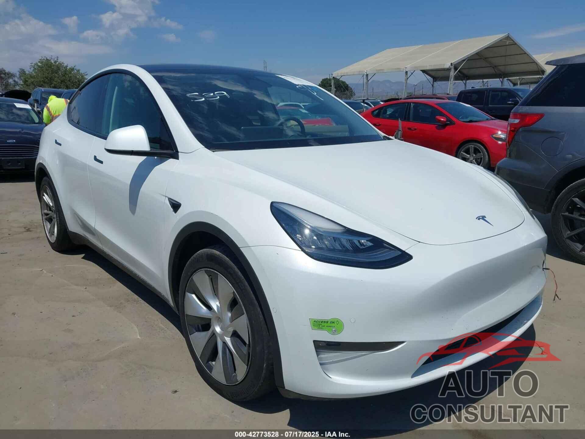TESLA MODEL Y 2022 - 7SAYGAEE5NF569303