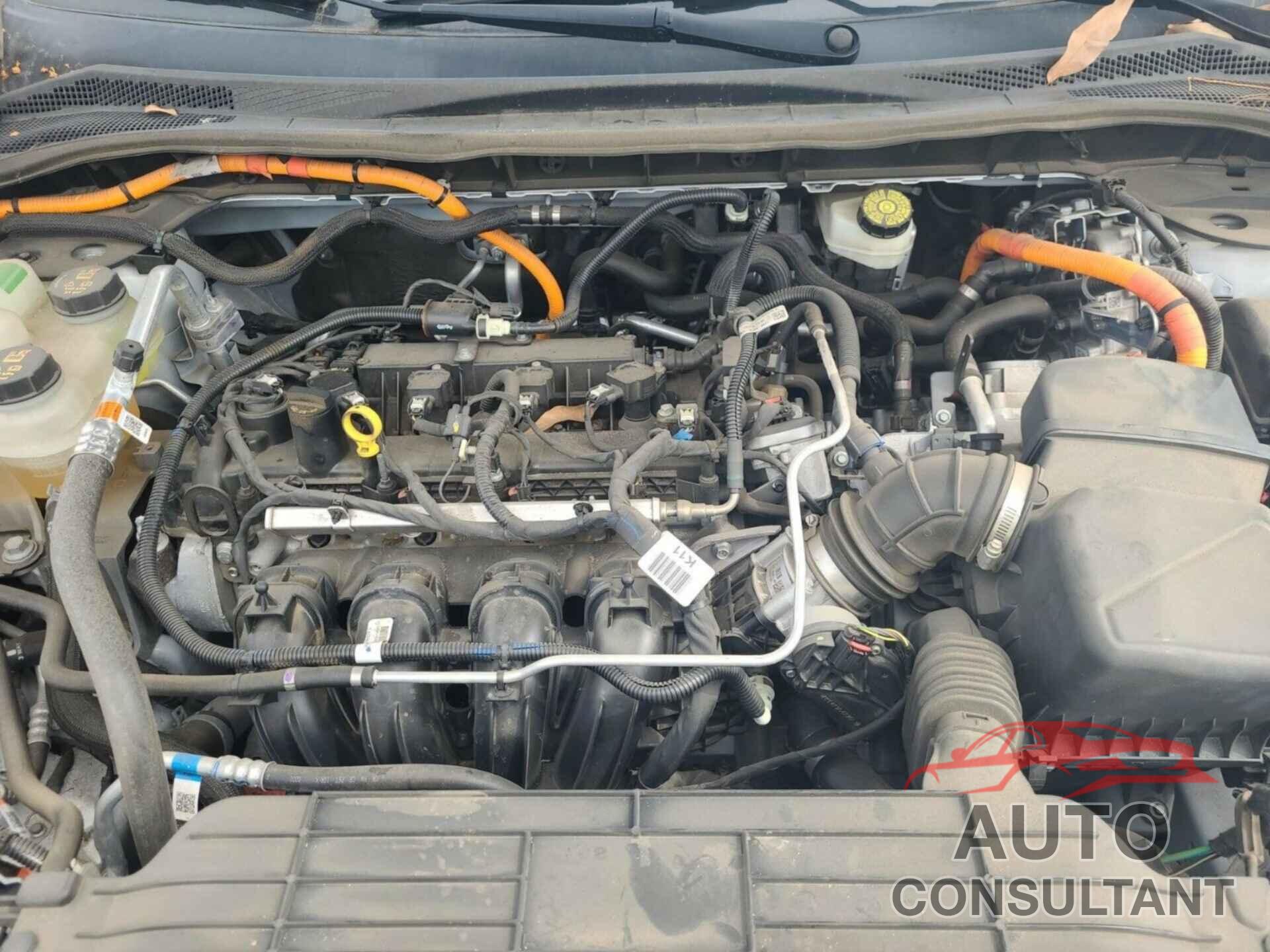 FORD ESCAPE 2021 - 1FMCU0CZ5MUA53007