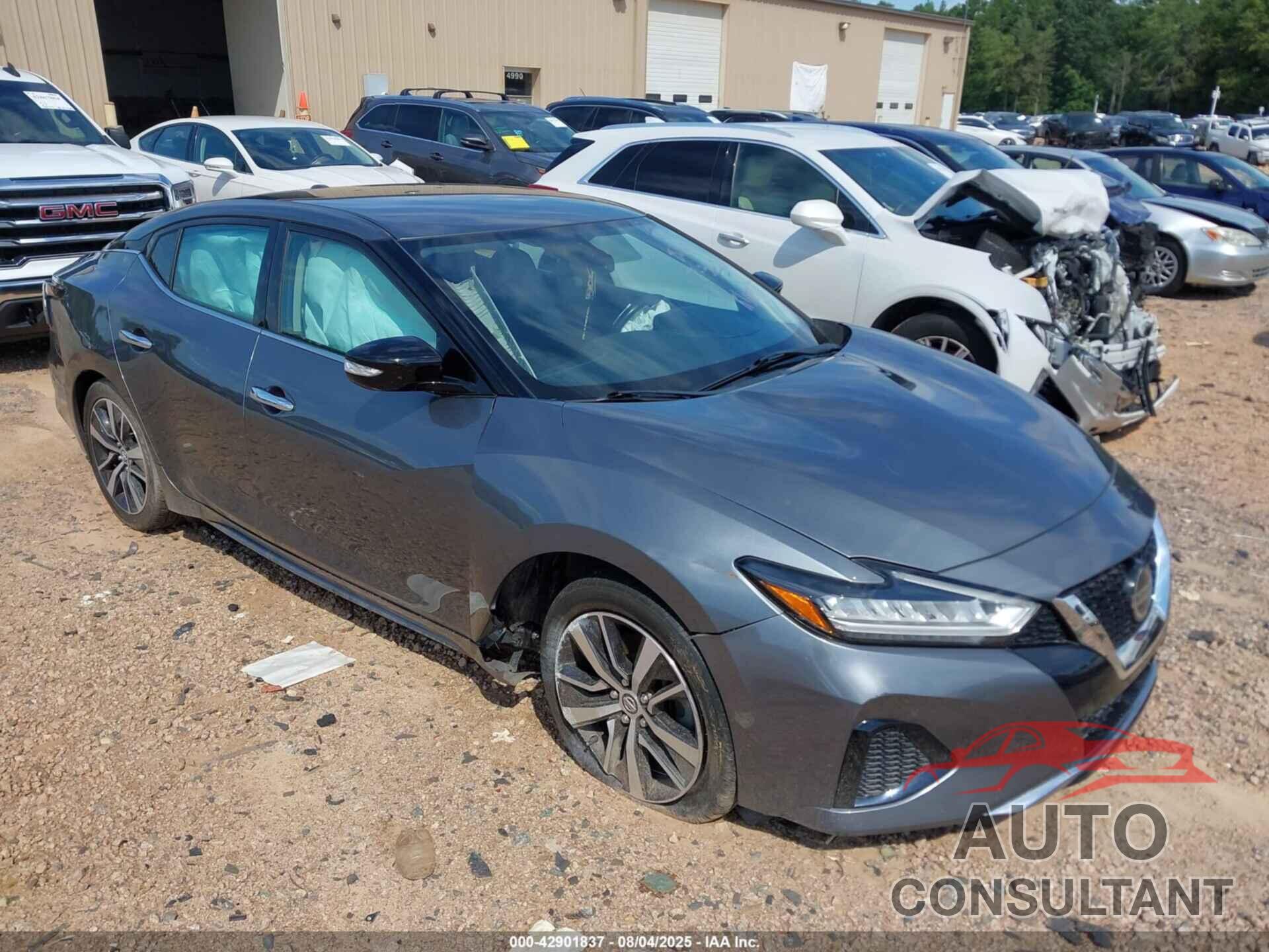 NISSAN MAXIMA 2019 - 1N4AA6AV3KC368162