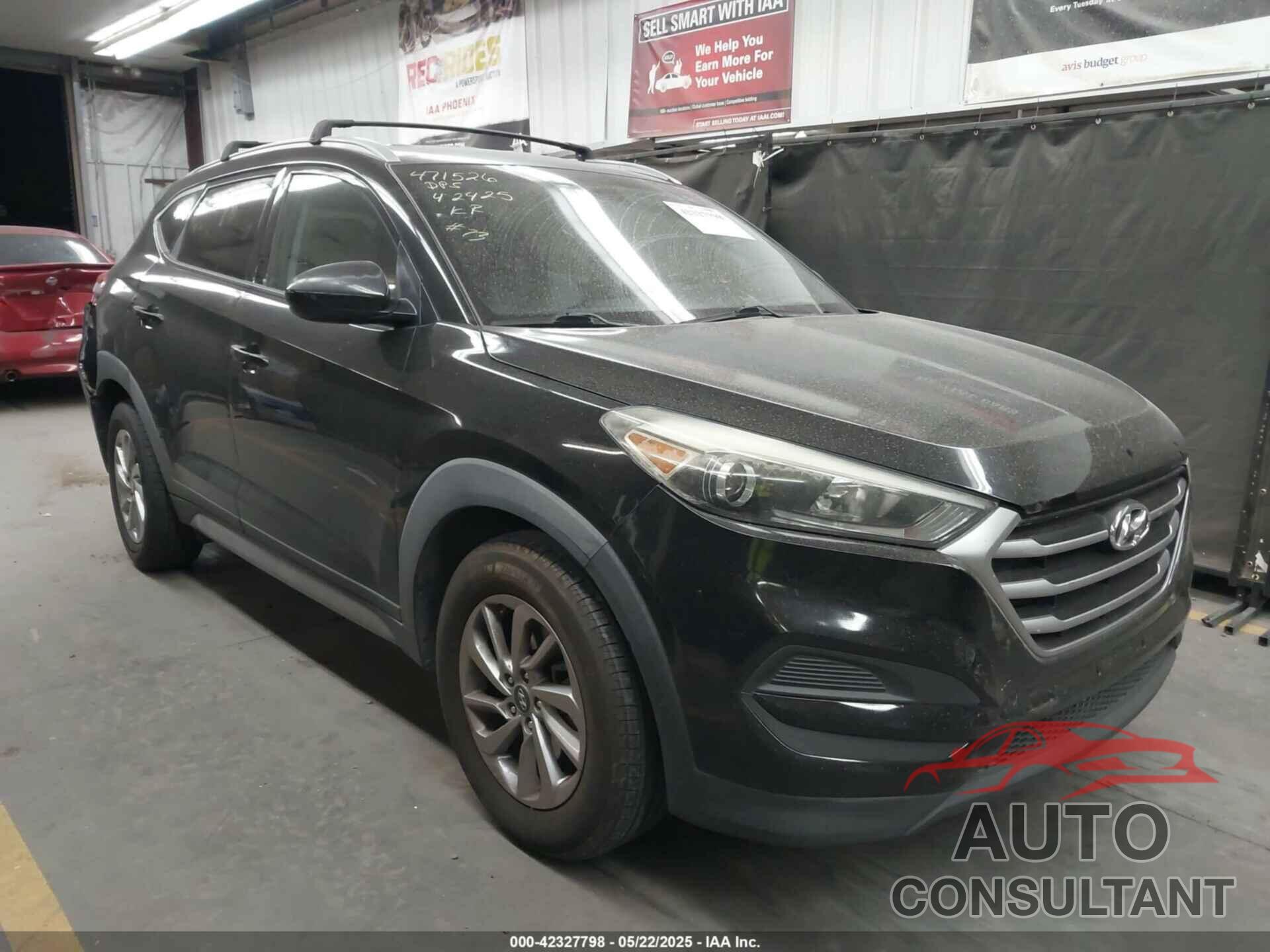 HYUNDAI TUCSON 2017 - KM8J33A43HU276073