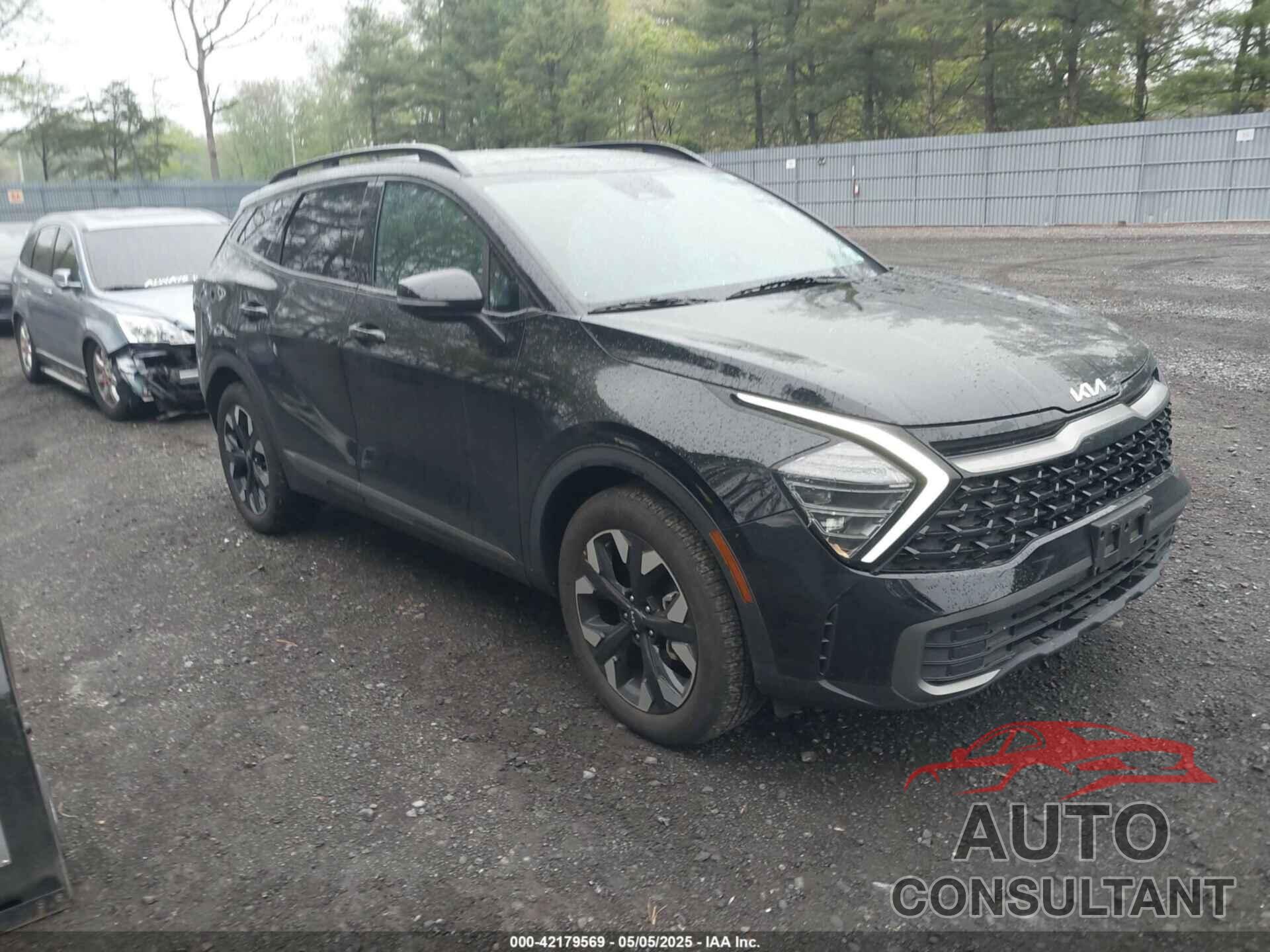 KIA SPORTAGE 2024 - 5XYK6CDF2RG229360