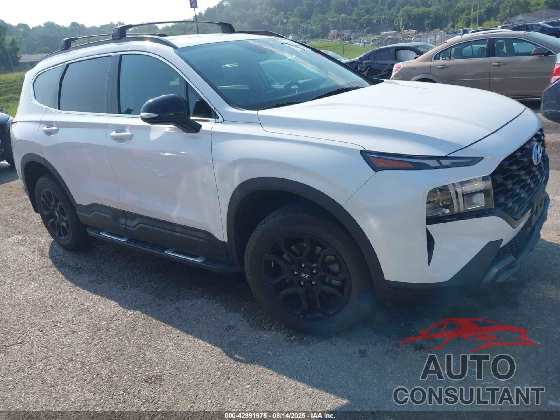 HYUNDAI SANTA FE 2023 - 5NMS6DAJ1PH526783