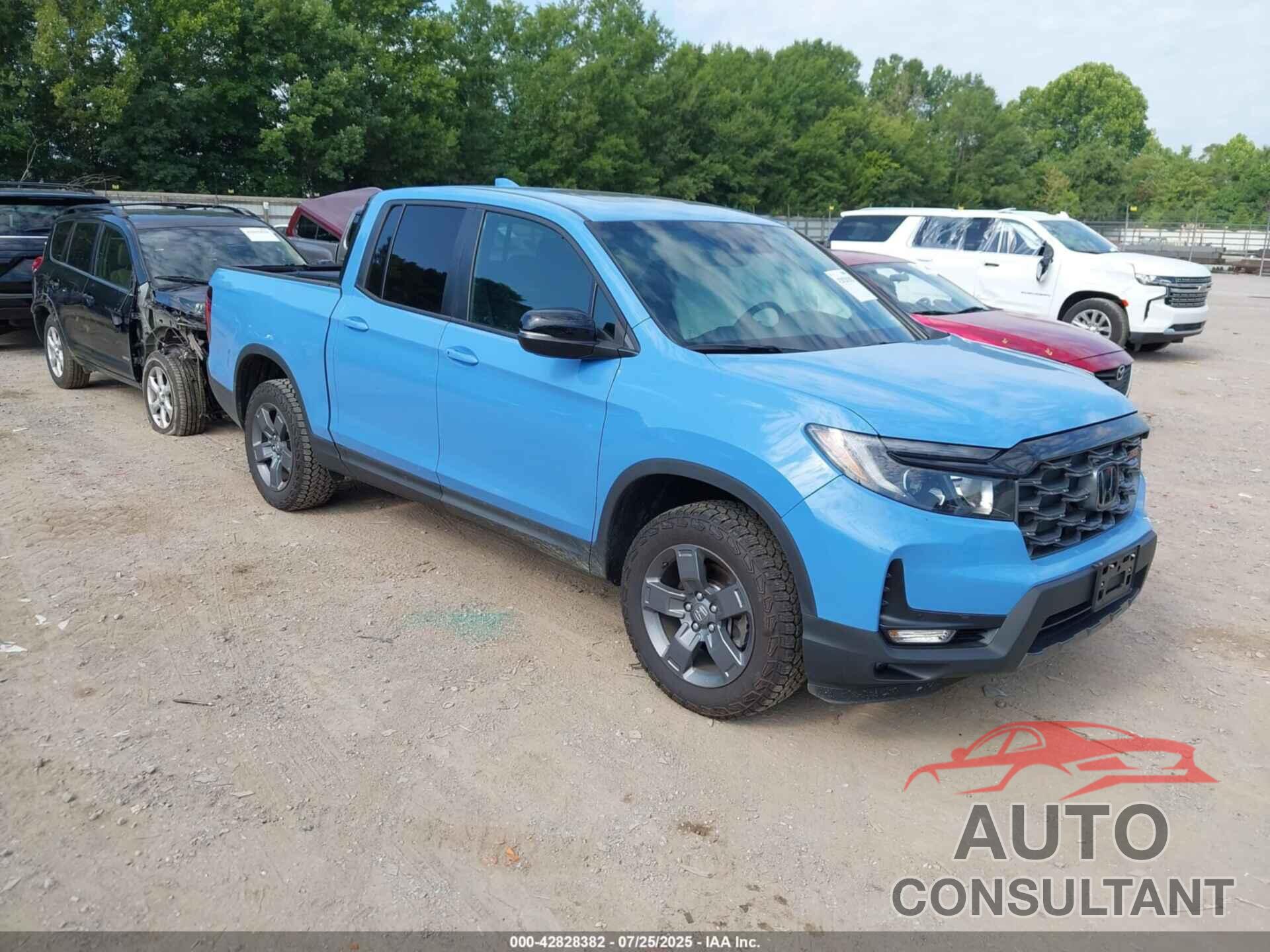 HONDA RIDGELINE 2024 - 5FPYK3F6XRB030249