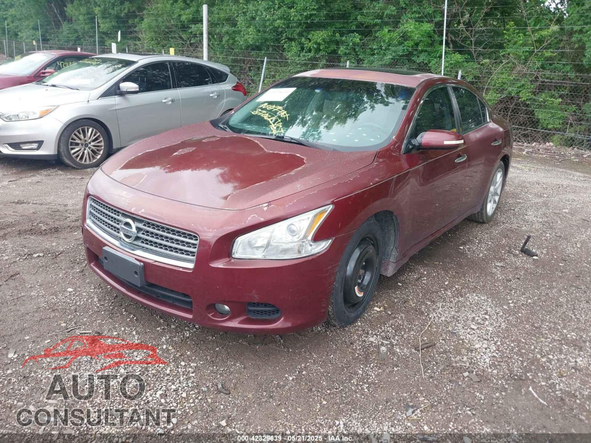 NISSAN MAXIMA 2010 - 1N4AA5AP5AC821966