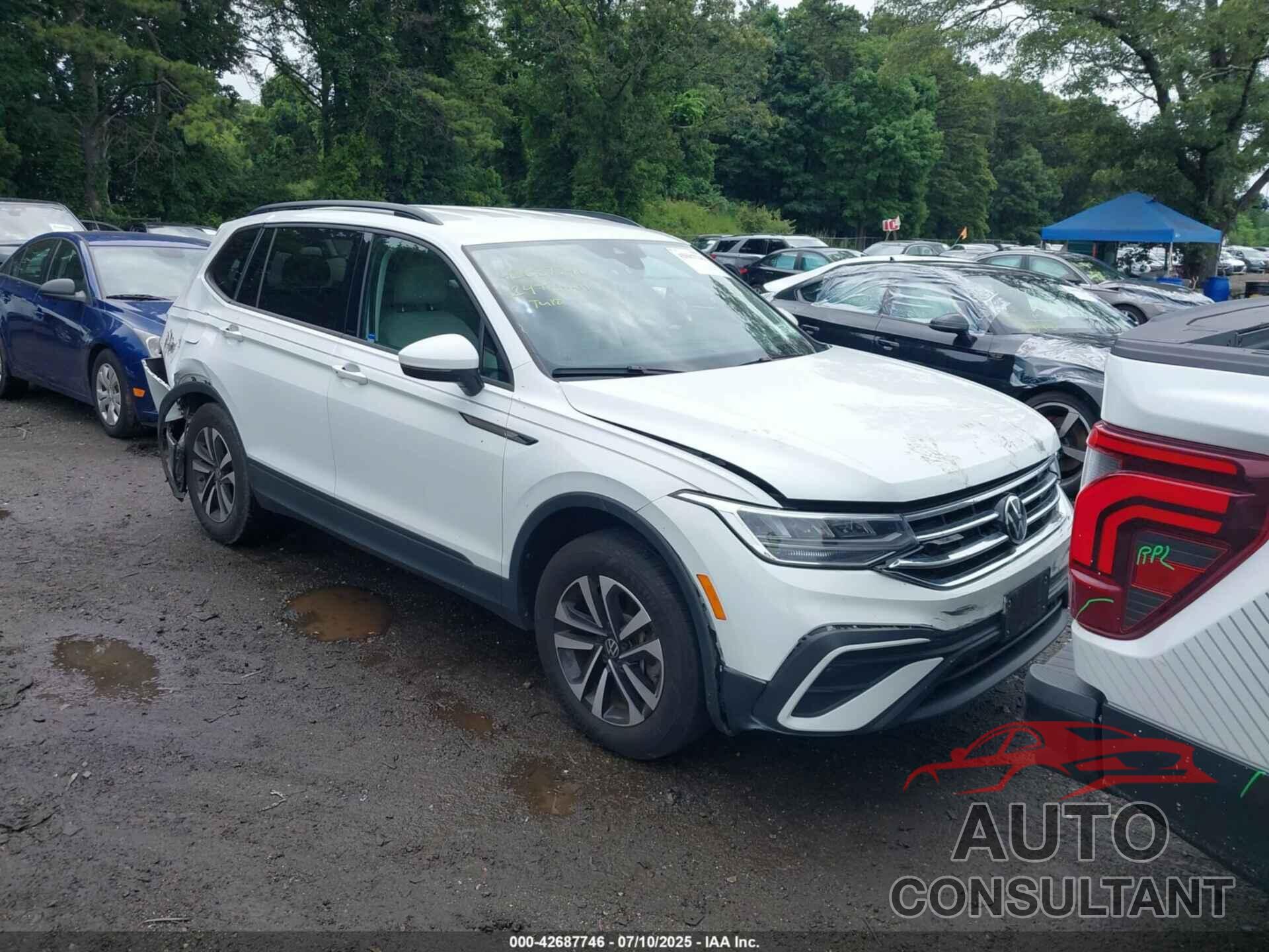 VOLKSWAGEN TIGUAN 2024 - 3VVFB7AXXRM010880
