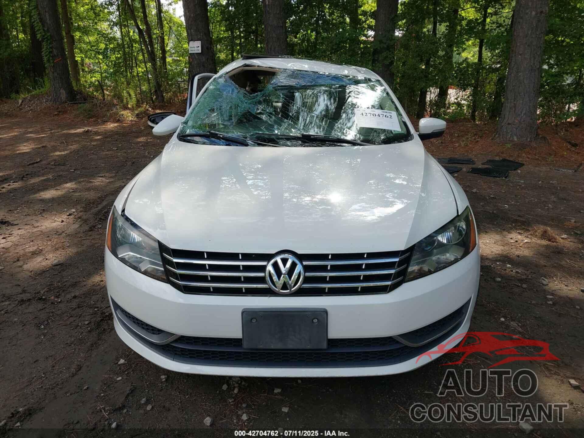 VOLKSWAGEN PASSAT 2014 - 1VWBN7A30EC112103